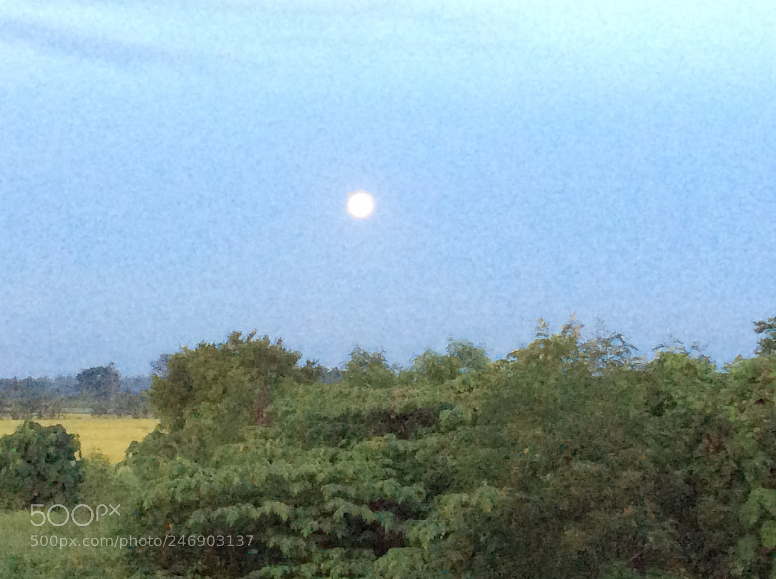 Apple iPad Air sample photo. Good morning super moon photography