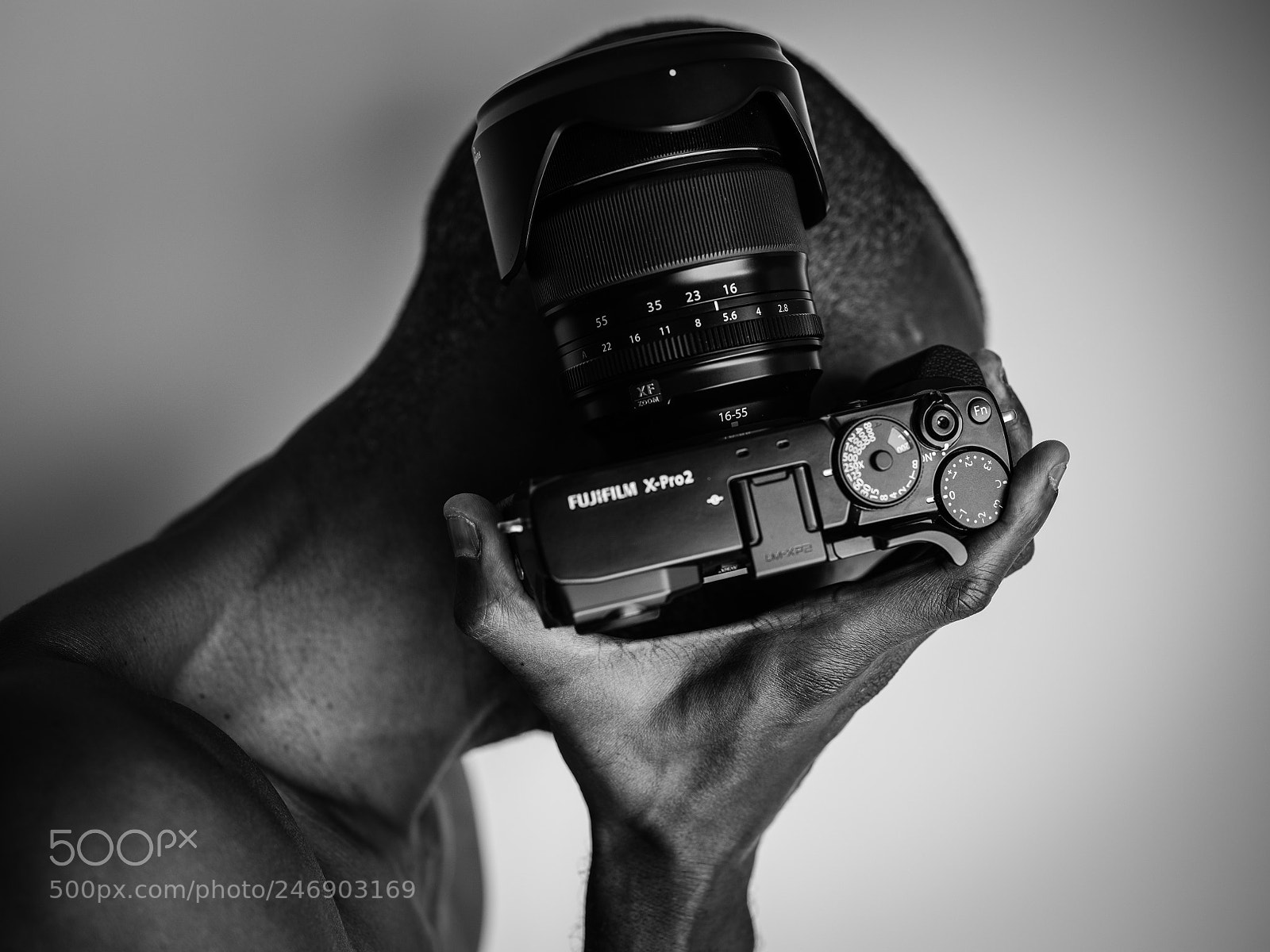 Fujifilm GFX 50S sample photo. Fuji speaks photography