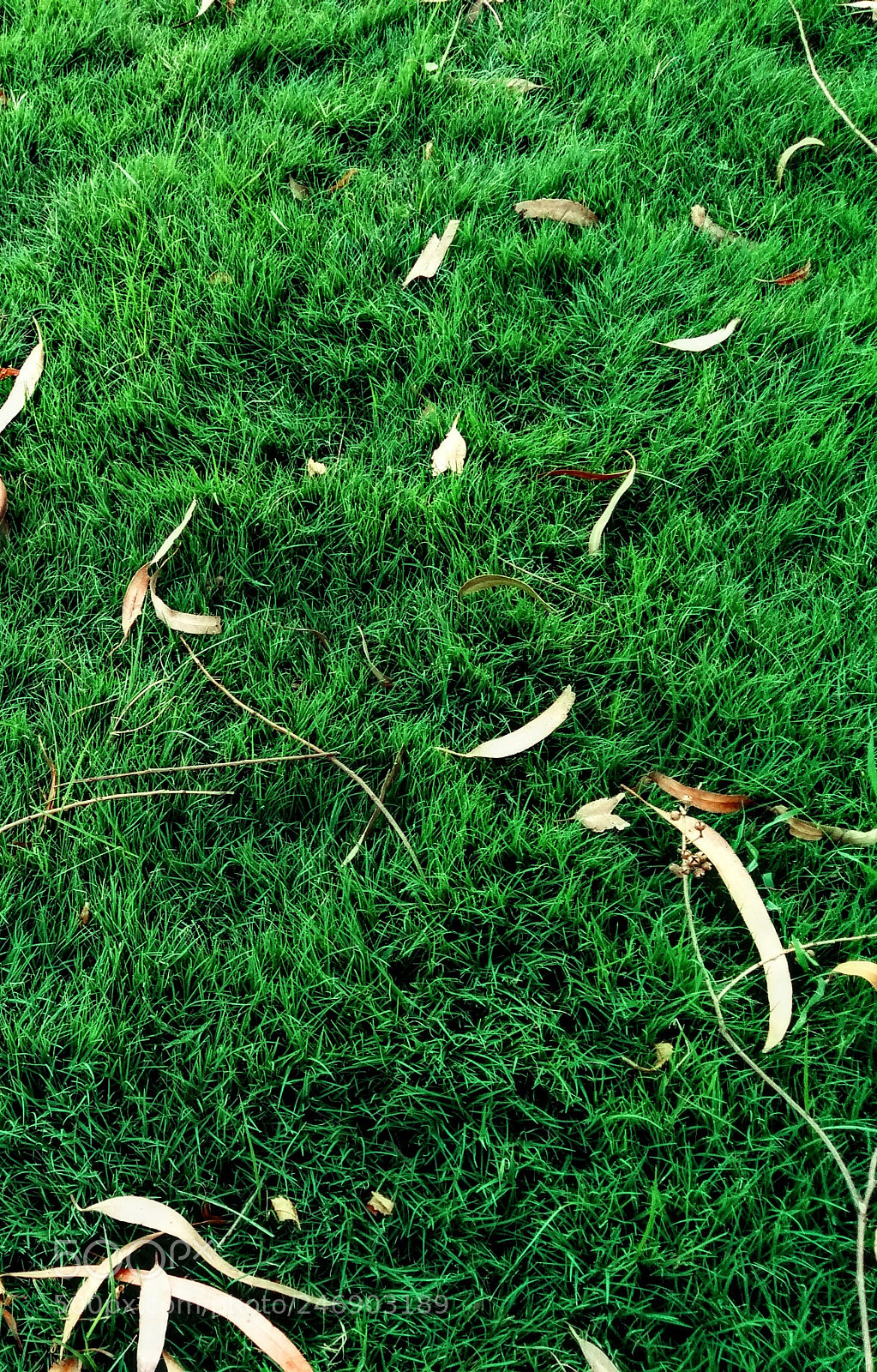 LG Nexus 5 sample photo. # mobile wallpaper # photography