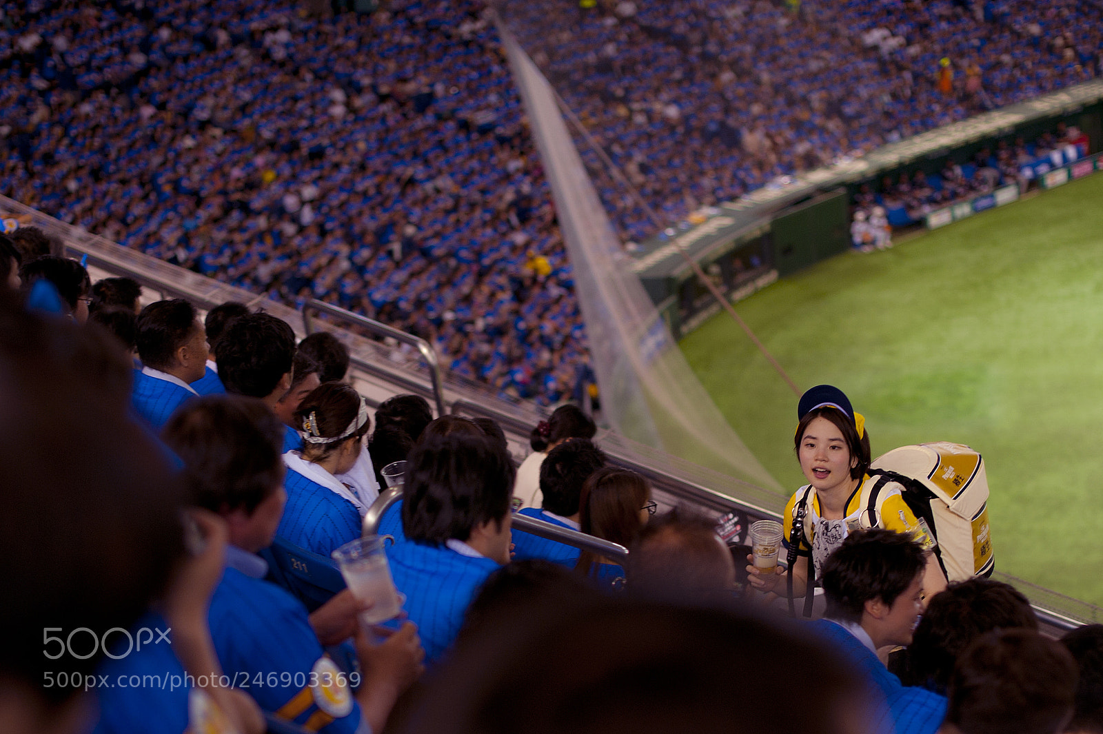 Nikon D700 sample photo. Baseball photography
