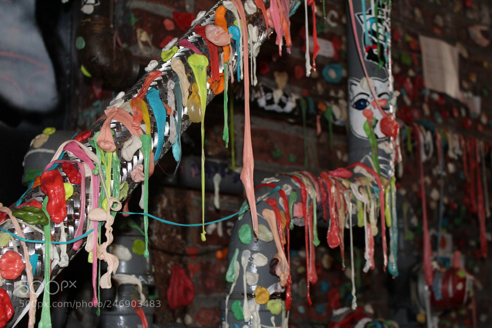 Canon EOS 1300D (EOS Rebel T6 / EOS Kiss X80) sample photo. Sticky situation  photography