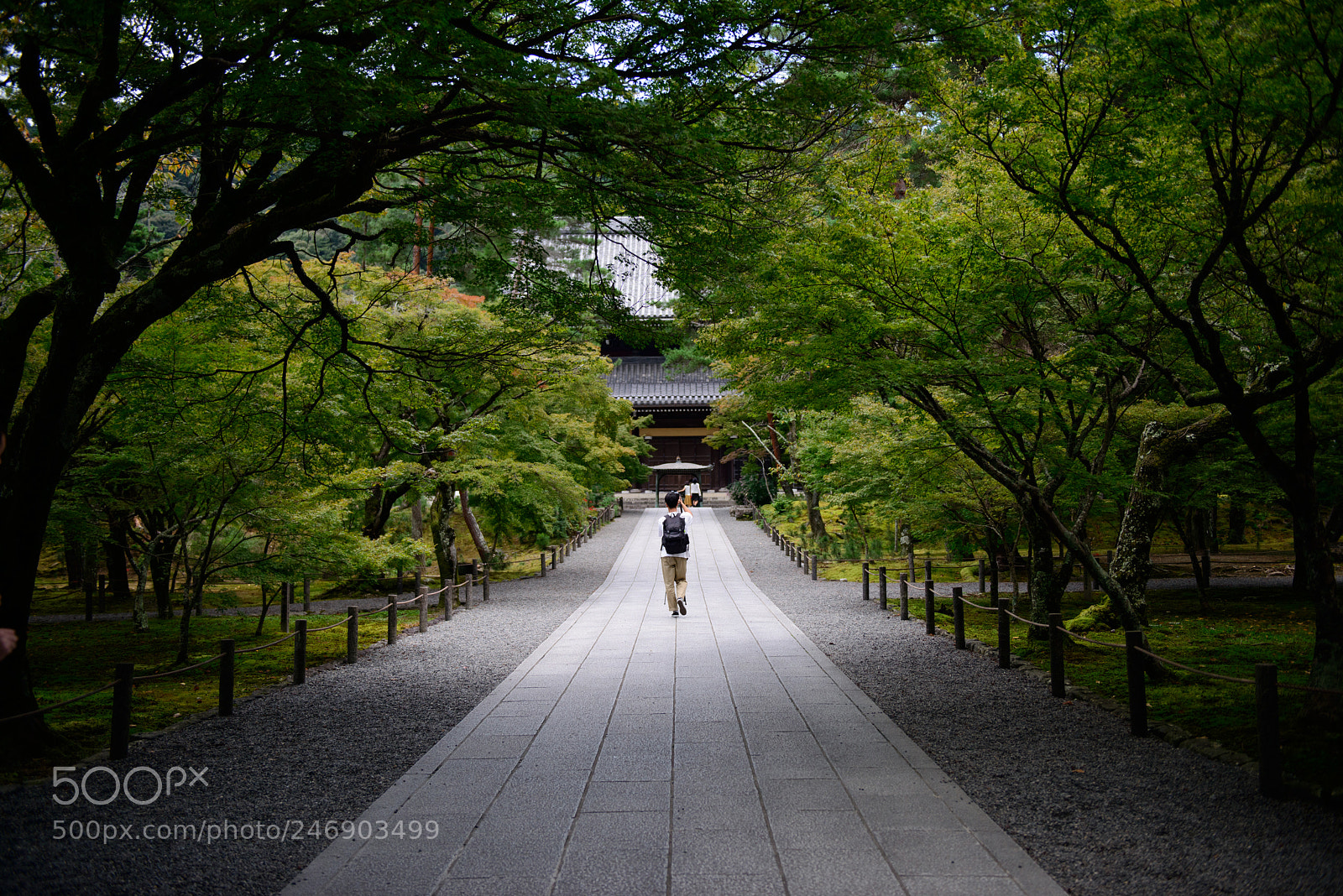Nikon D800E sample photo. 京都南禅寺 photography