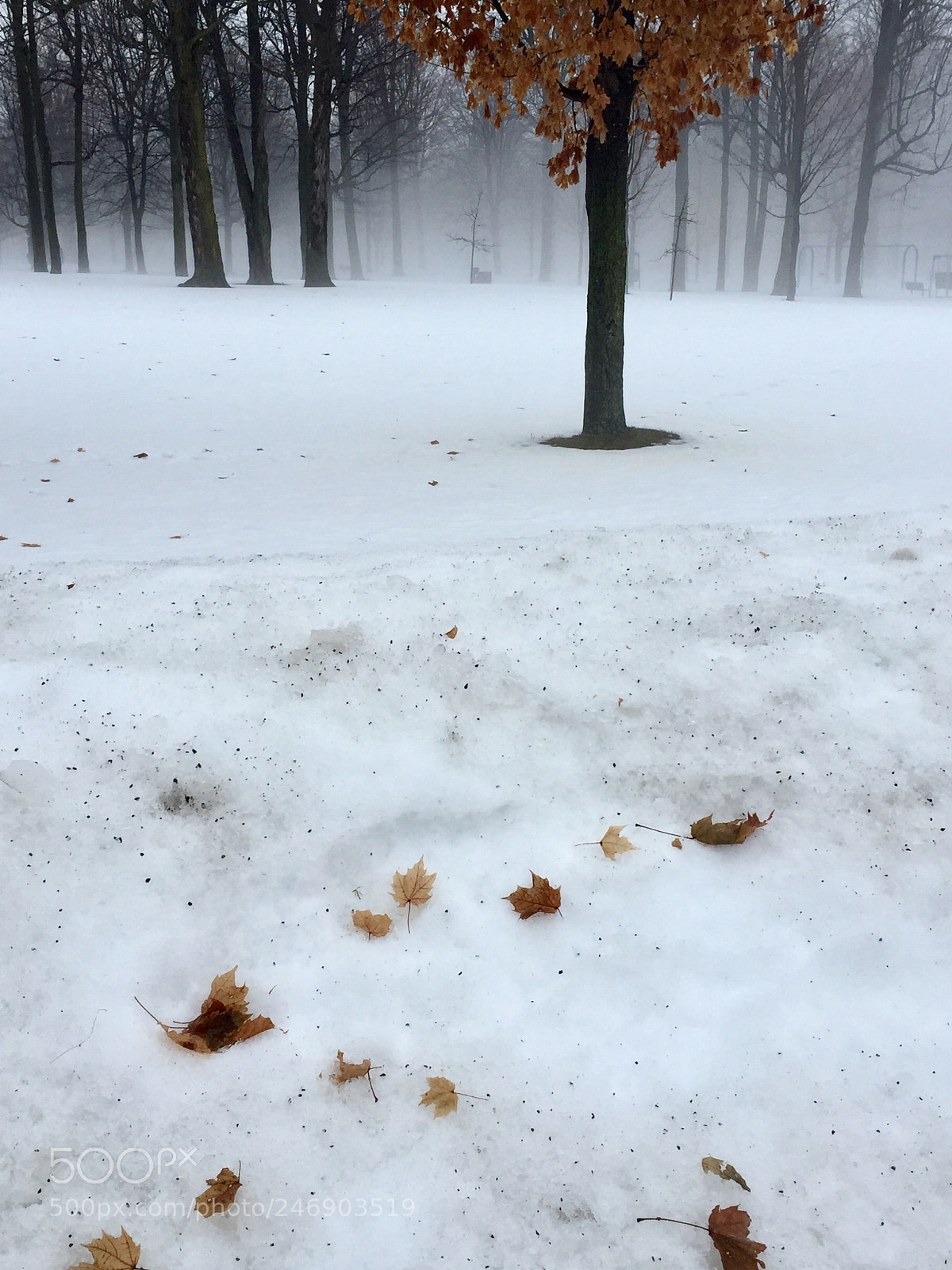 Apple iPhone 6 sample photo. Un in the mist photography