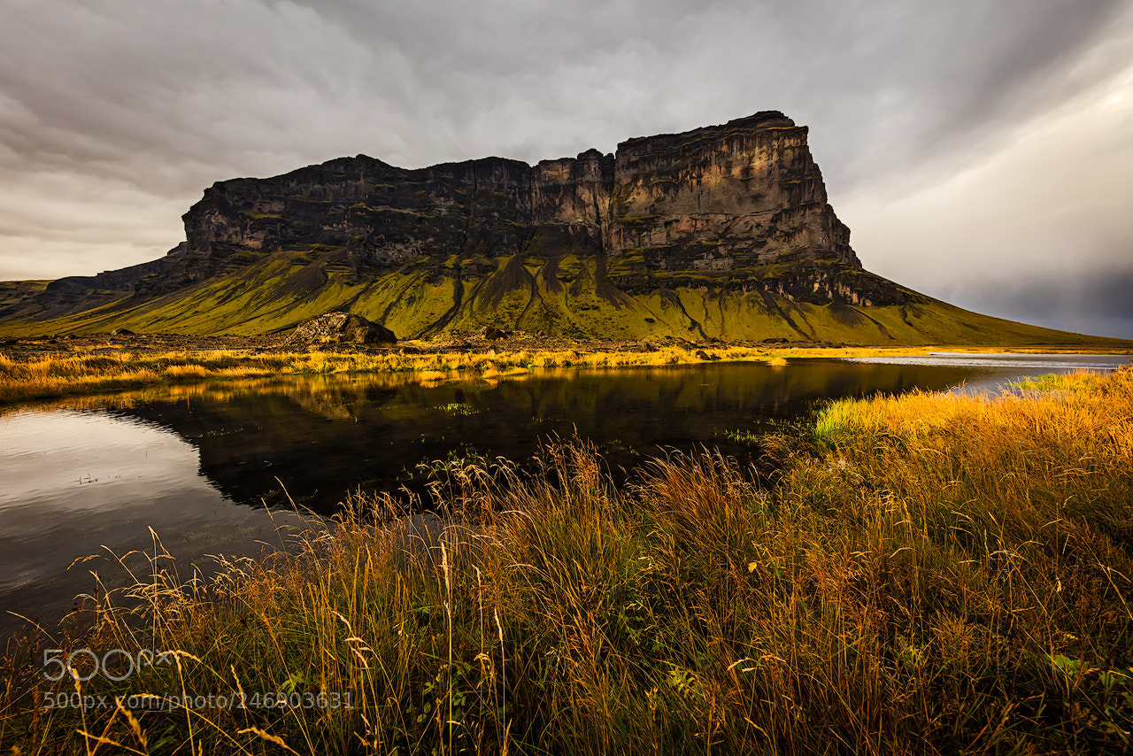 Canon EOS 5DS R sample photo. Golden light photography