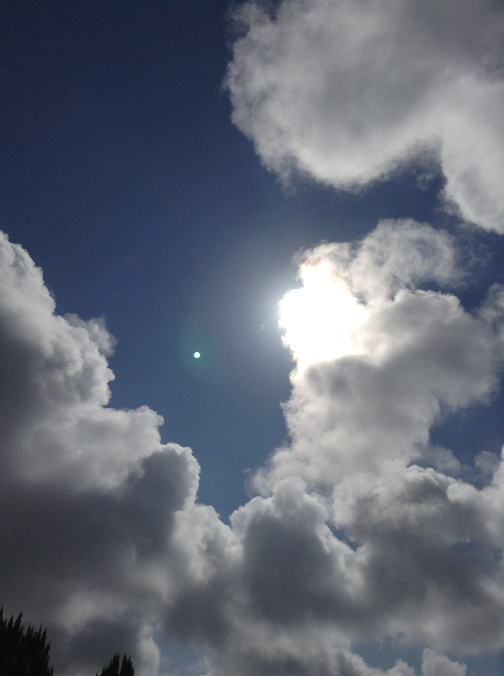 Apple iPad mini sample photo. The sun shining through... photography