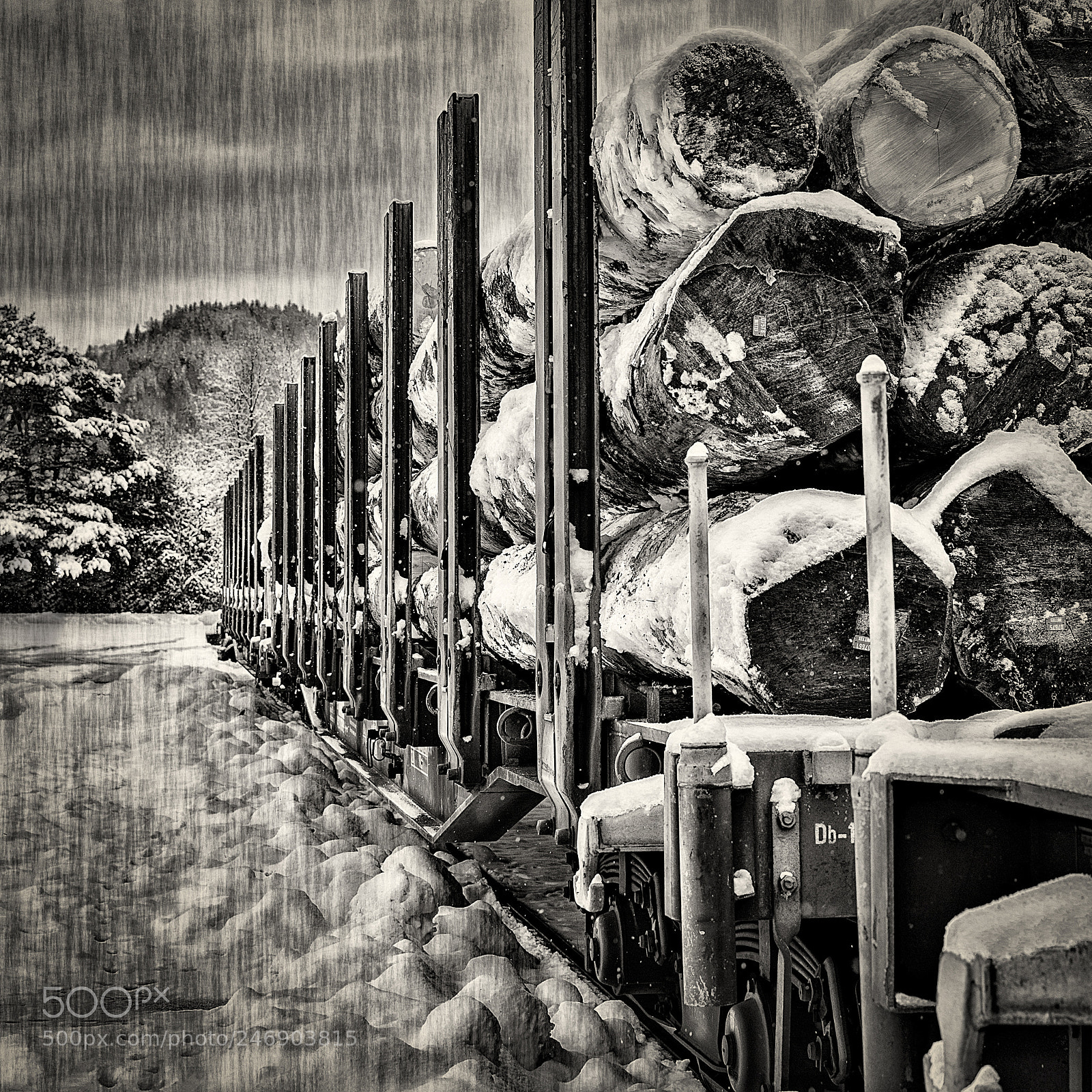 Nikon D500 sample photo. Perspective photography
