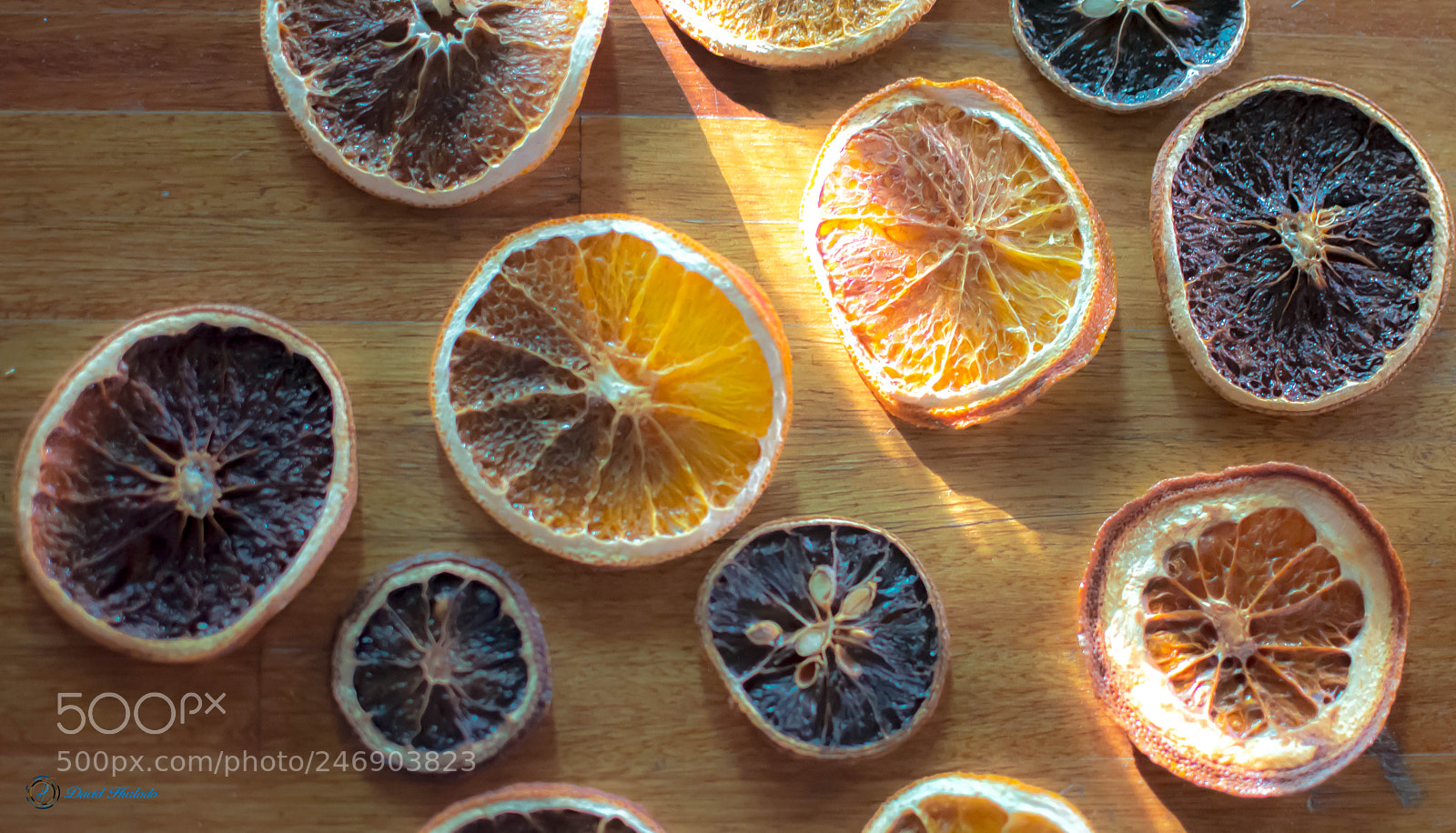 Nikon D5200 sample photo. Dry orange photography