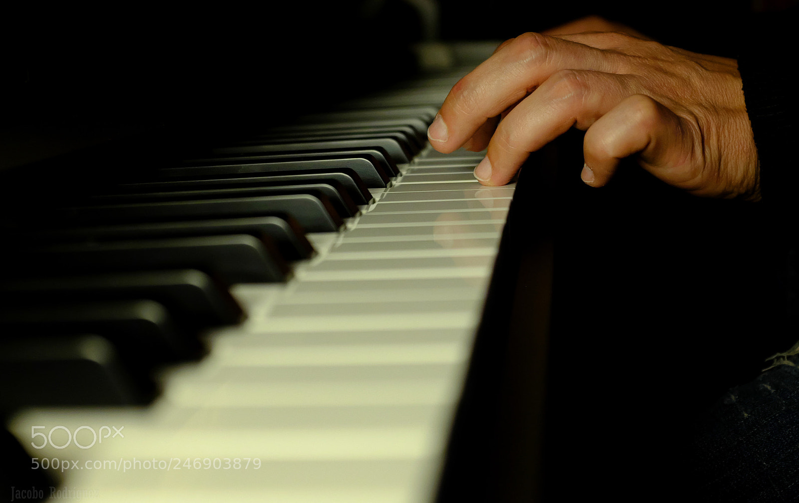 Fujifilm X100S sample photo. Bohemian rhapsody photography