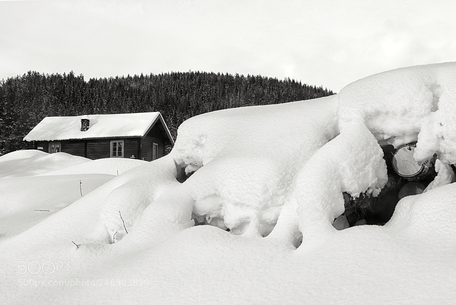 Olympus OM-D E-M5 II sample photo. Snow, snow, snow photography