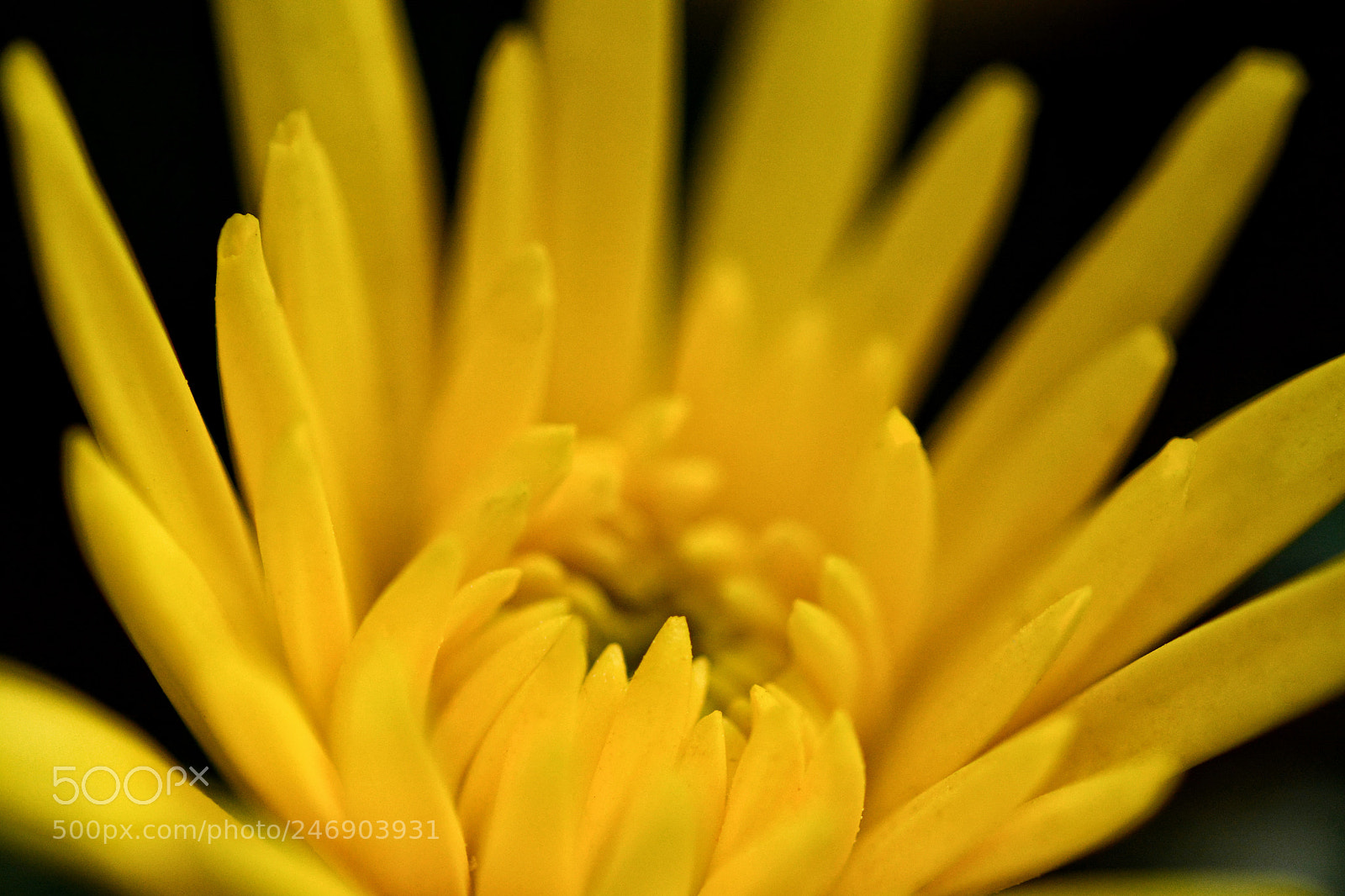 Nikon D7100 sample photo. Untitled photography