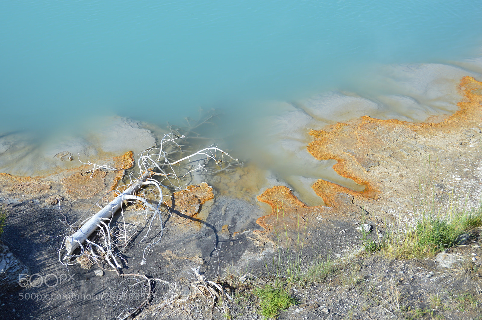 Nikon D3200 sample photo. Driftwood photography
