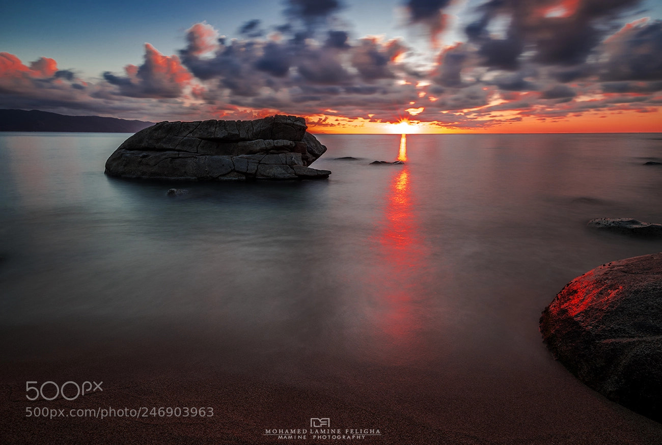 Nikon D610 sample photo. Sunset photography