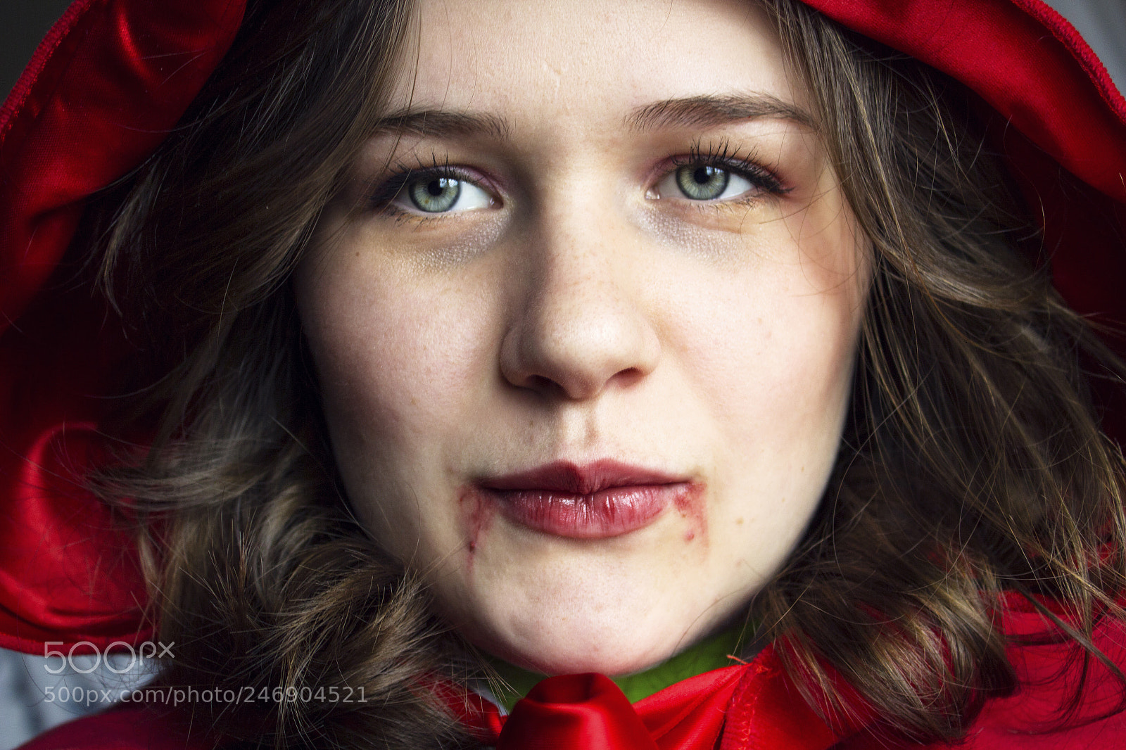 Canon EOS 600D (Rebel EOS T3i / EOS Kiss X5) sample photo. Cappuccetto rosso photography