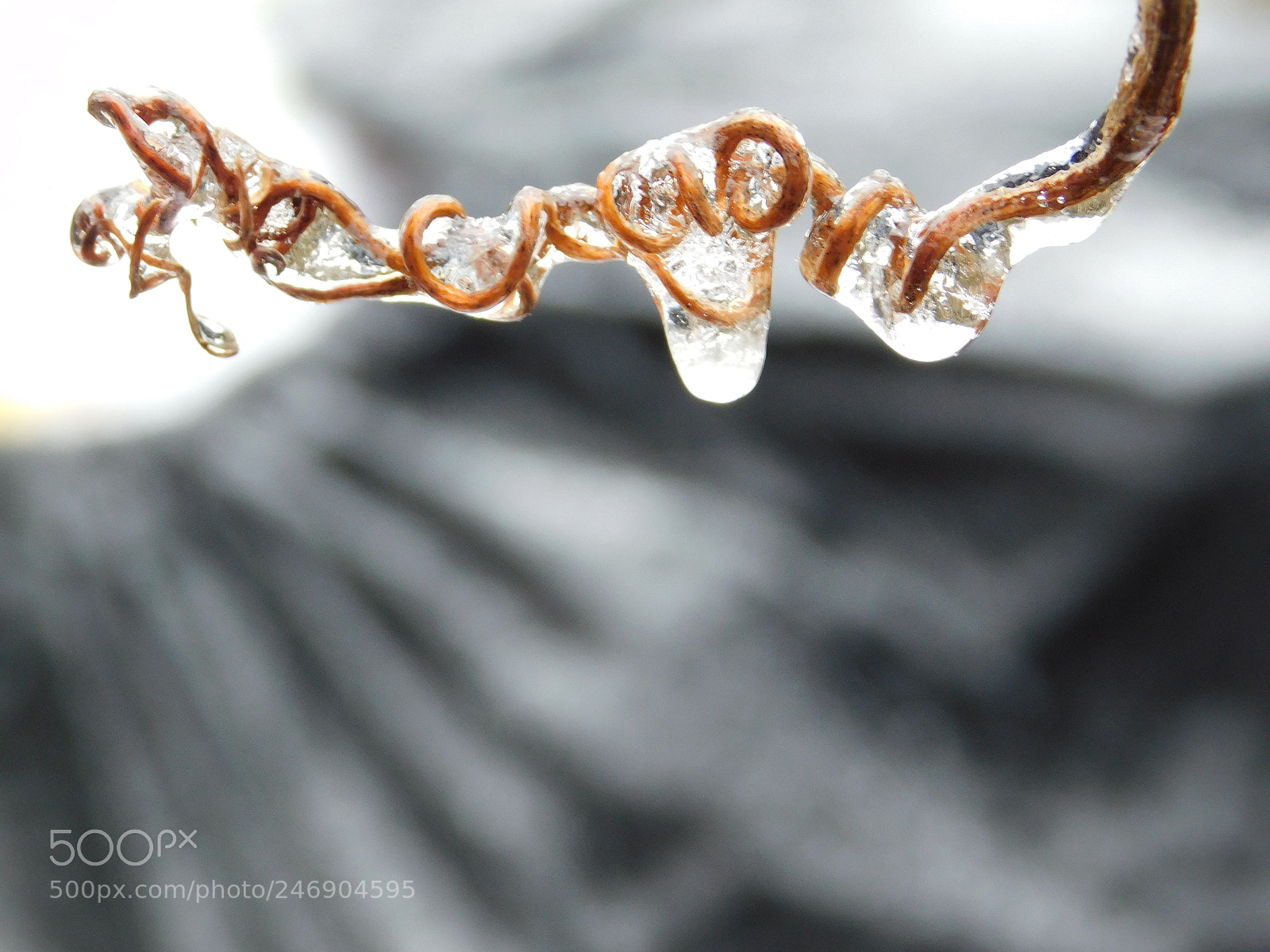 Nikon Coolpix B500 sample photo. Icey tendril photography