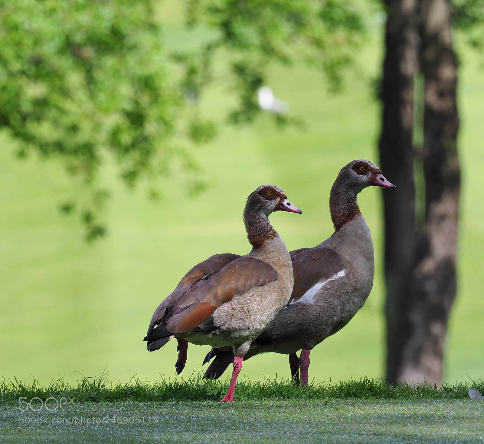 Olympus OM-D E-M1 Mark II sample photo. Olympus digital camera photography