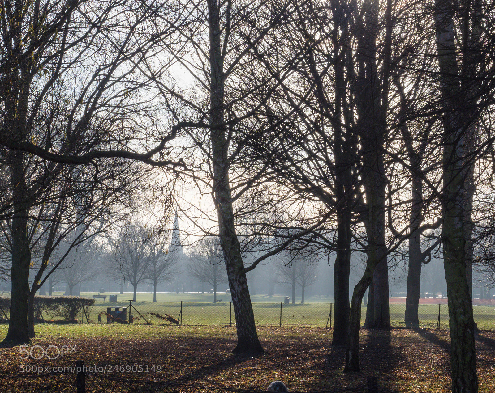 Olympus OM-D E-M1 Mark II sample photo. Misty morning scenic park photography