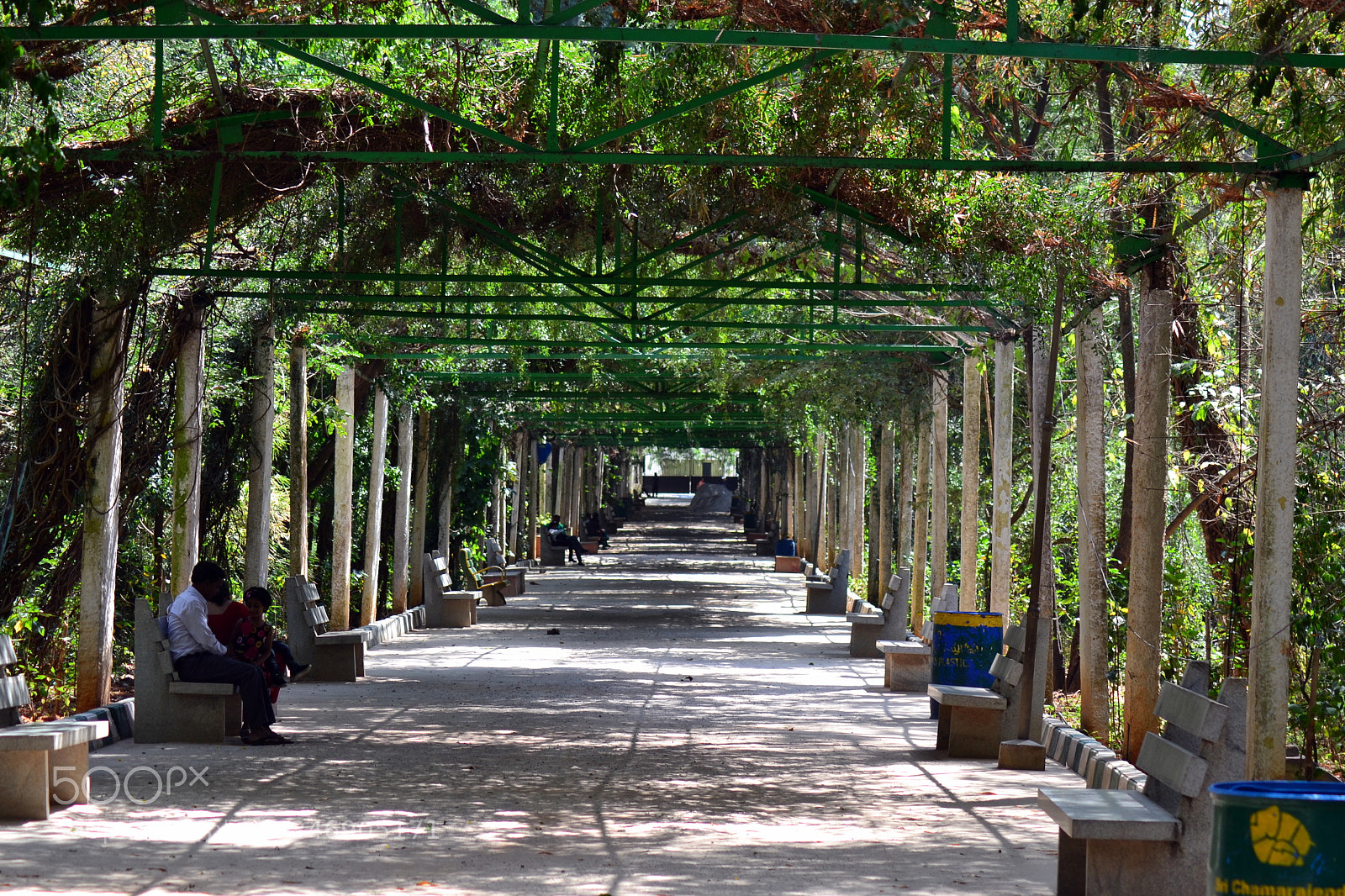 Nikon D3100 sample photo. Pathway photography