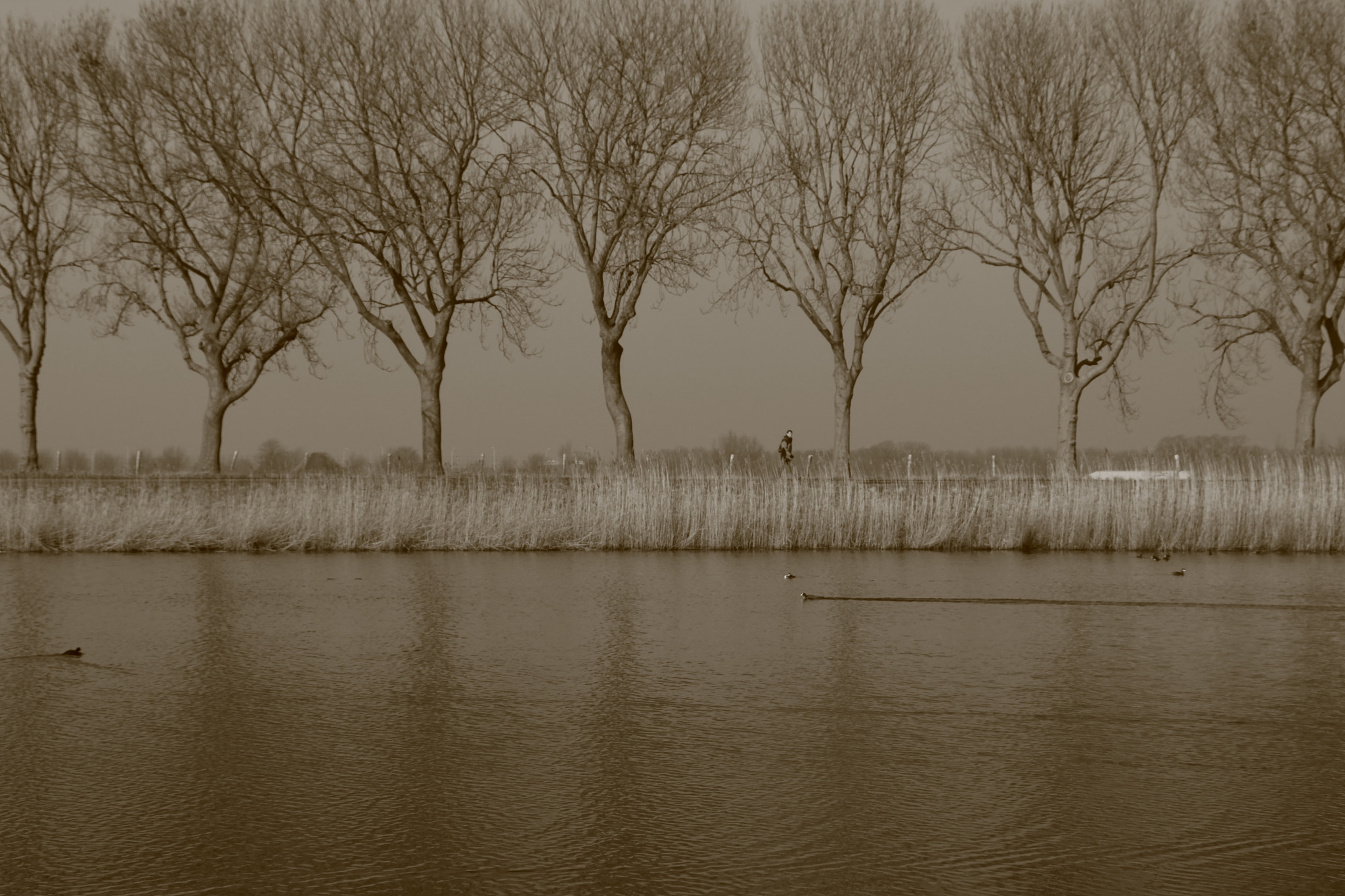 Canon EOS 1200D (EOS Rebel T5 / EOS Kiss X70 / EOS Hi) sample photo. Beemsterringvaart photography