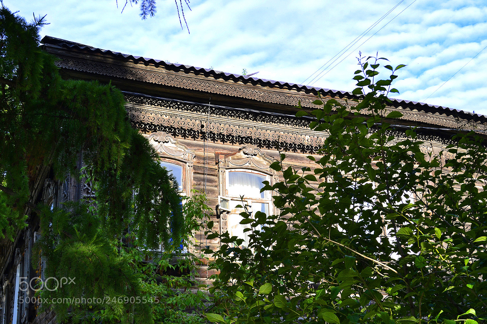 Nikon D3100 sample photo. Pattern photography