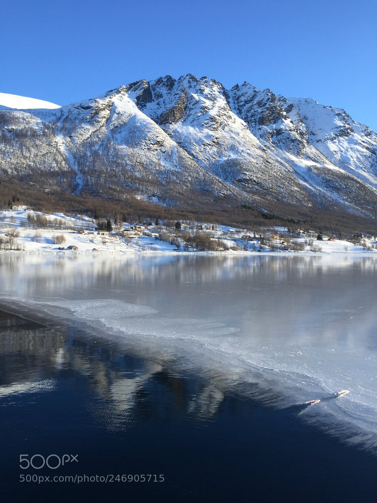 Apple iPhone 6 sample photo. Cruise in fjord photography