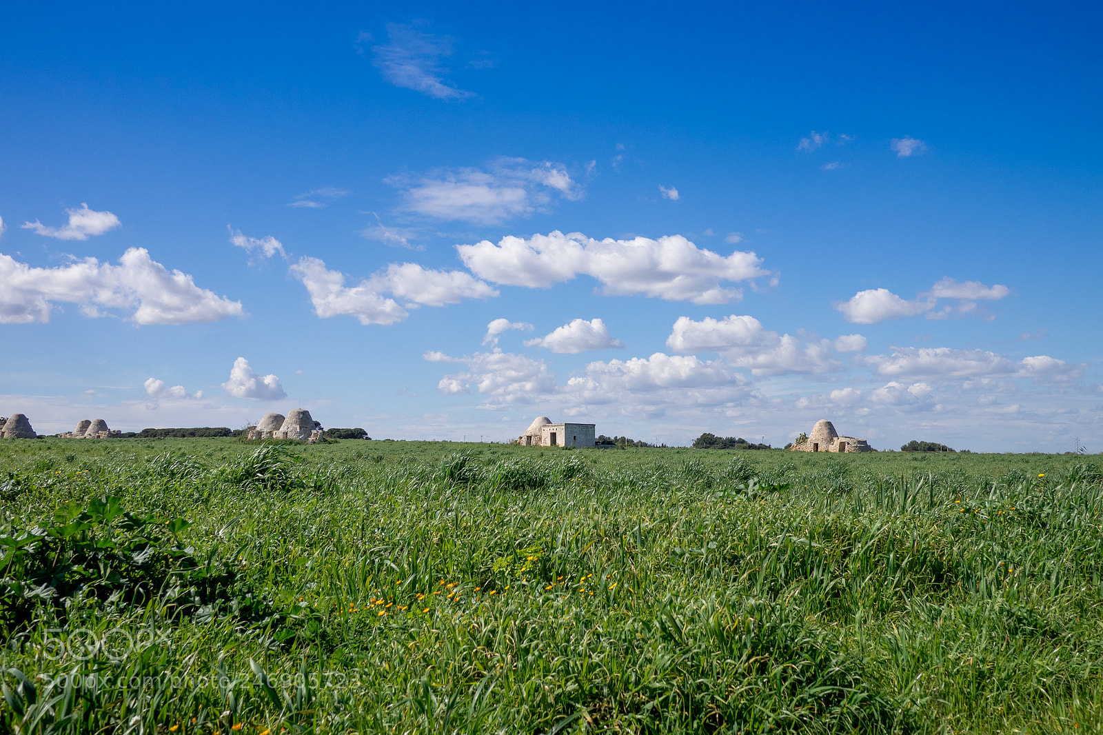 Olympus OM-D E-M1 sample photo. Wild countryside with trullo photography