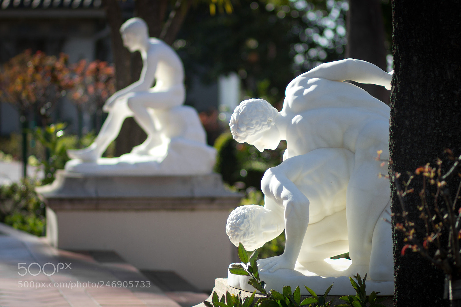 Canon EOS 60D sample photo. The wrestlers photography