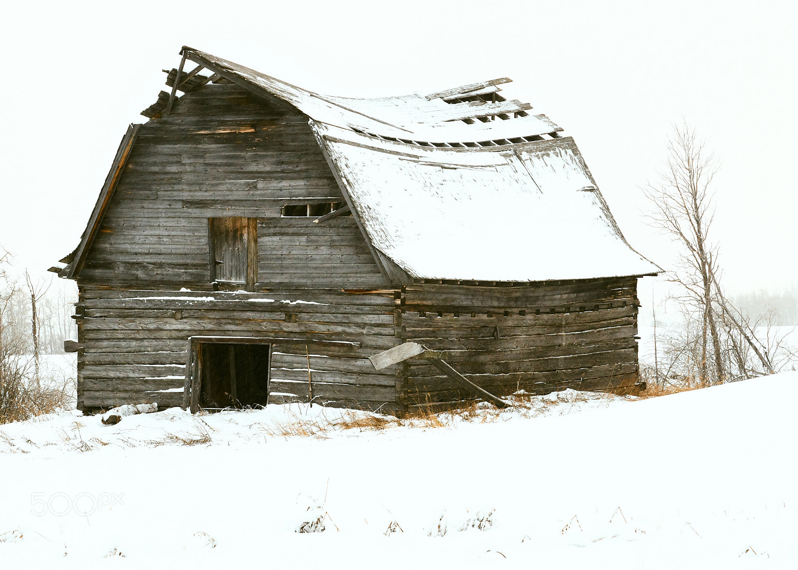 Nikon D850 sample photo. Old barn in snow photography
