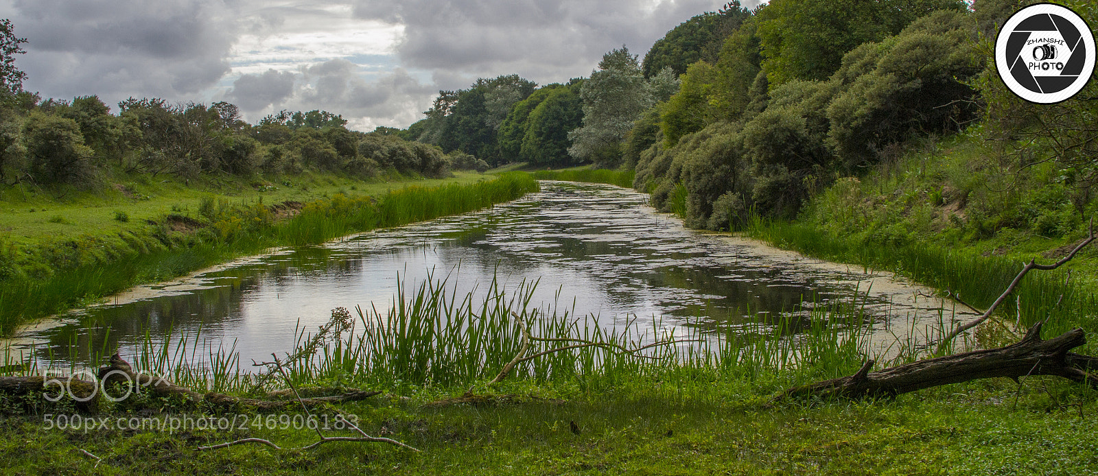 Nikon D3100 sample photo. View photography