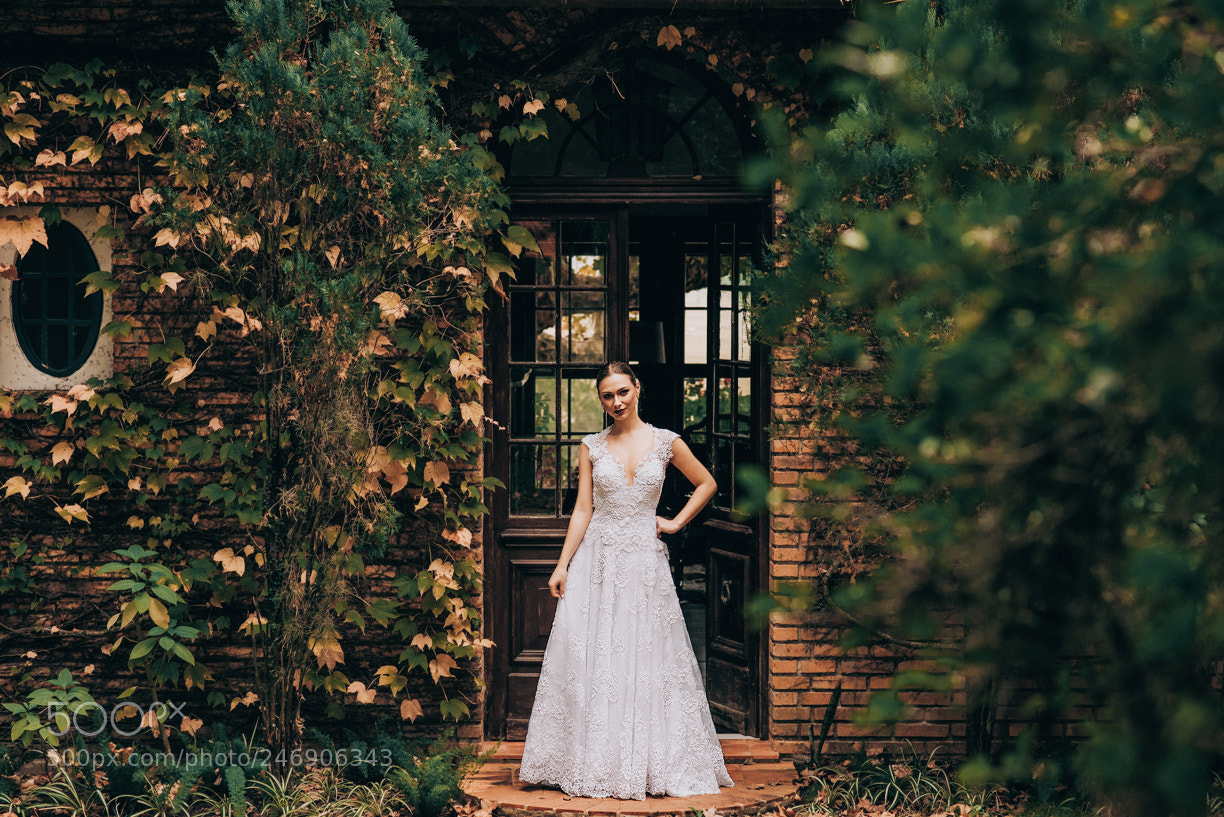 Nikon D810 sample photo. Dom photography