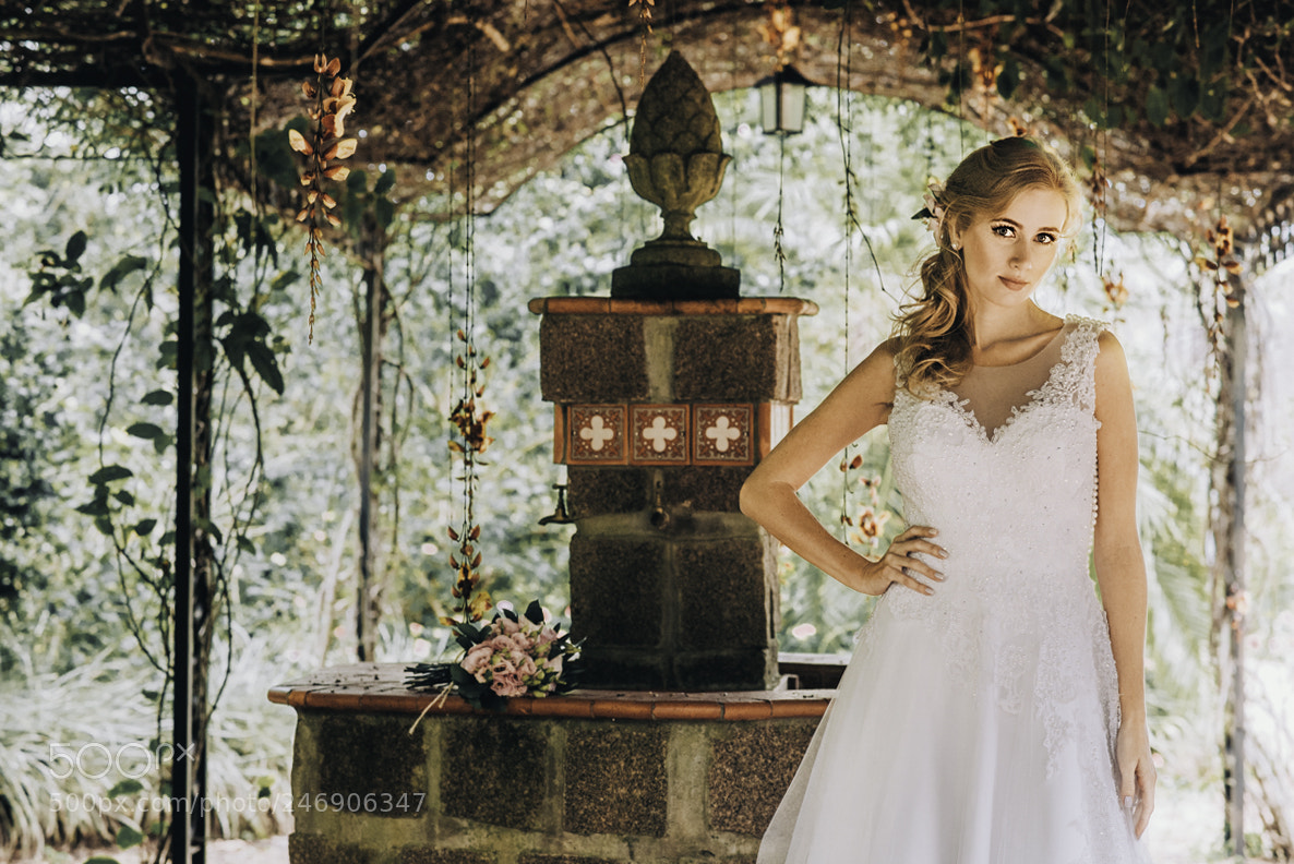 Nikon D810 sample photo. Web photography