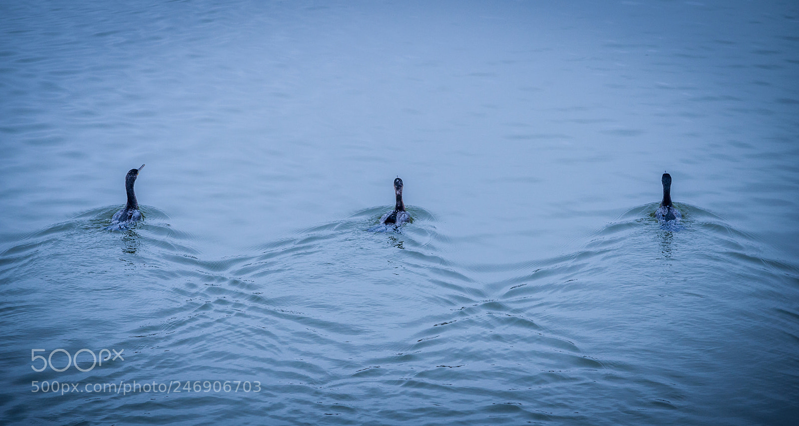 Nikon D3200 sample photo. In sync photography