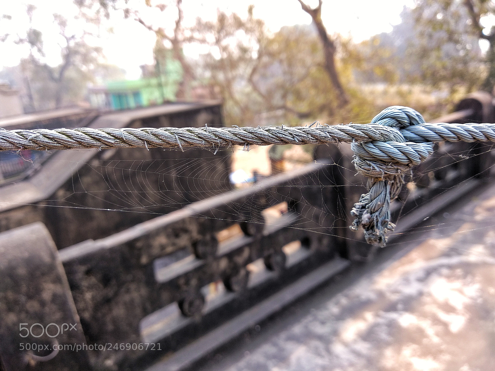 Xiaomi Mi A1 sample photo. Untitled photography