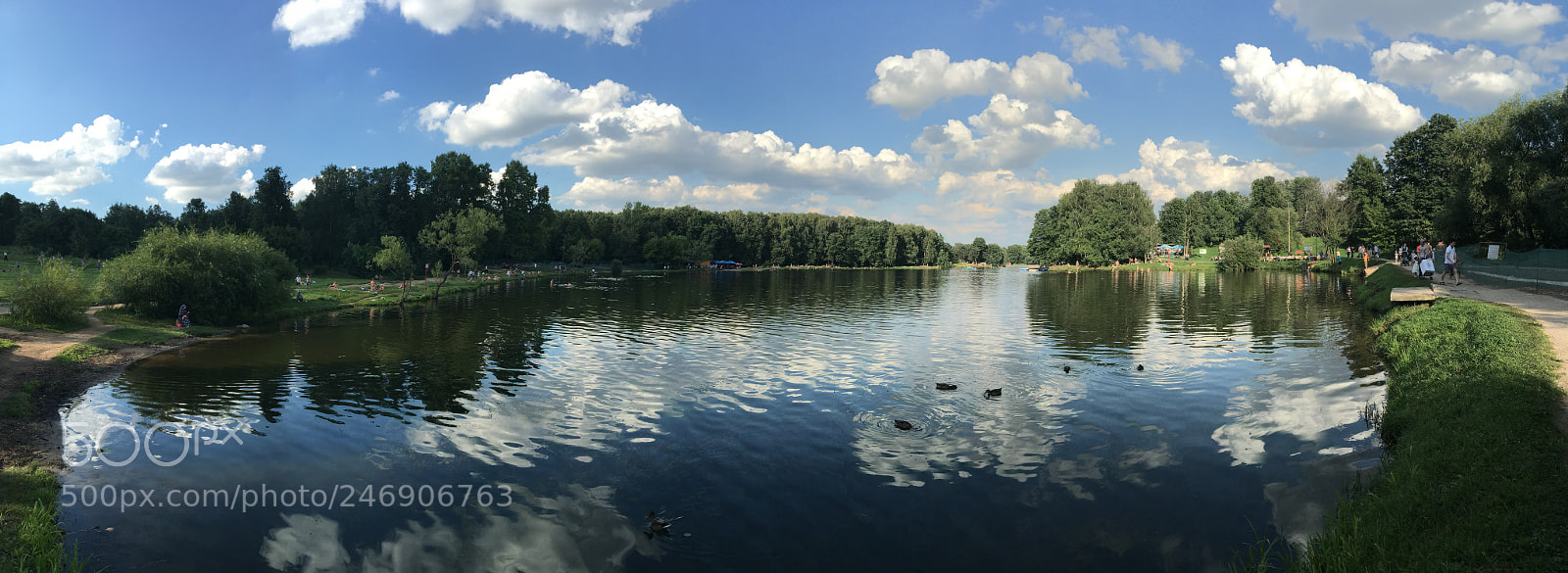 Apple iPhone 6s Plus sample photo. Untitled photography