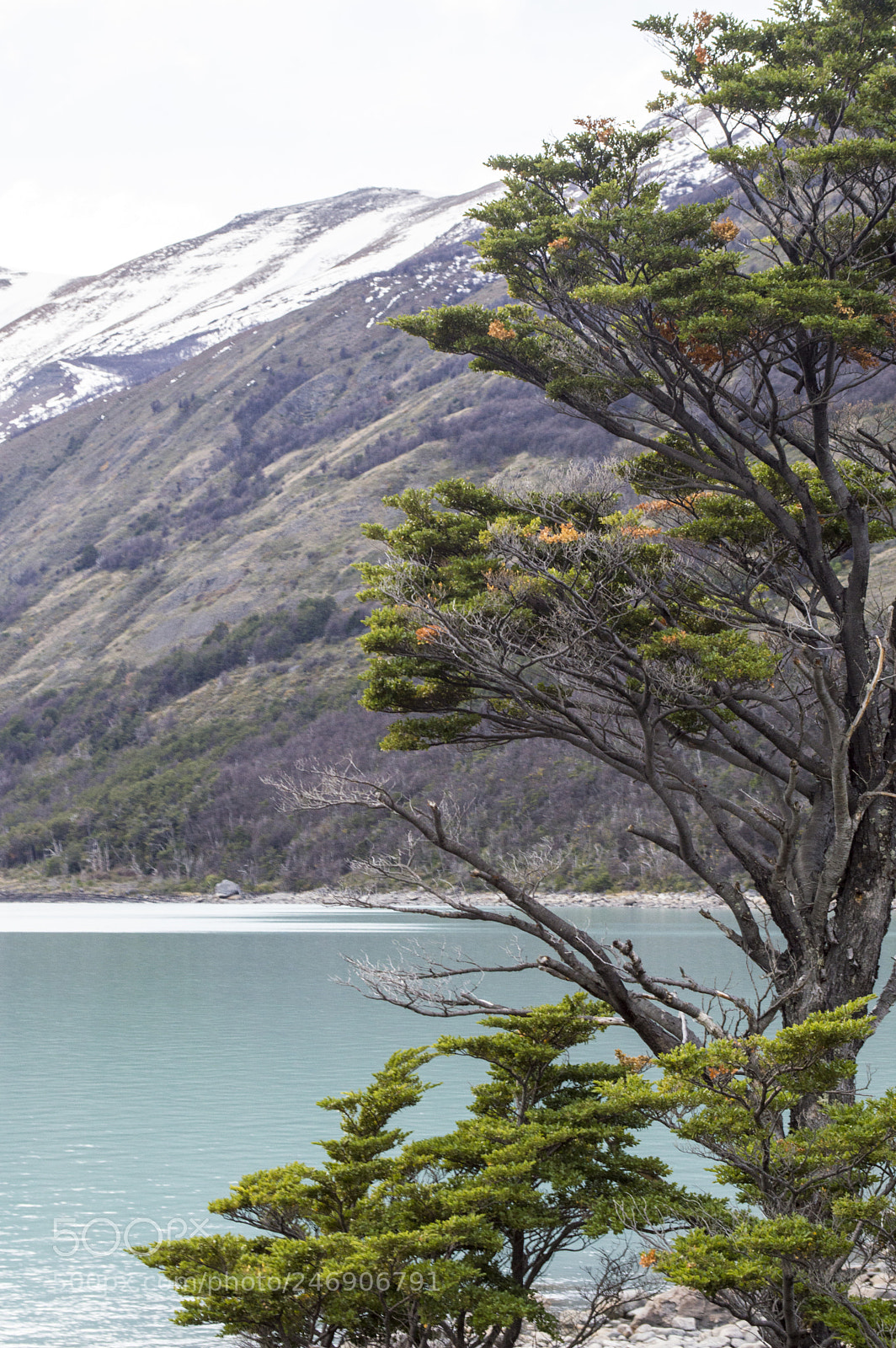 Nikon D3200 sample photo. Puerto natales photography