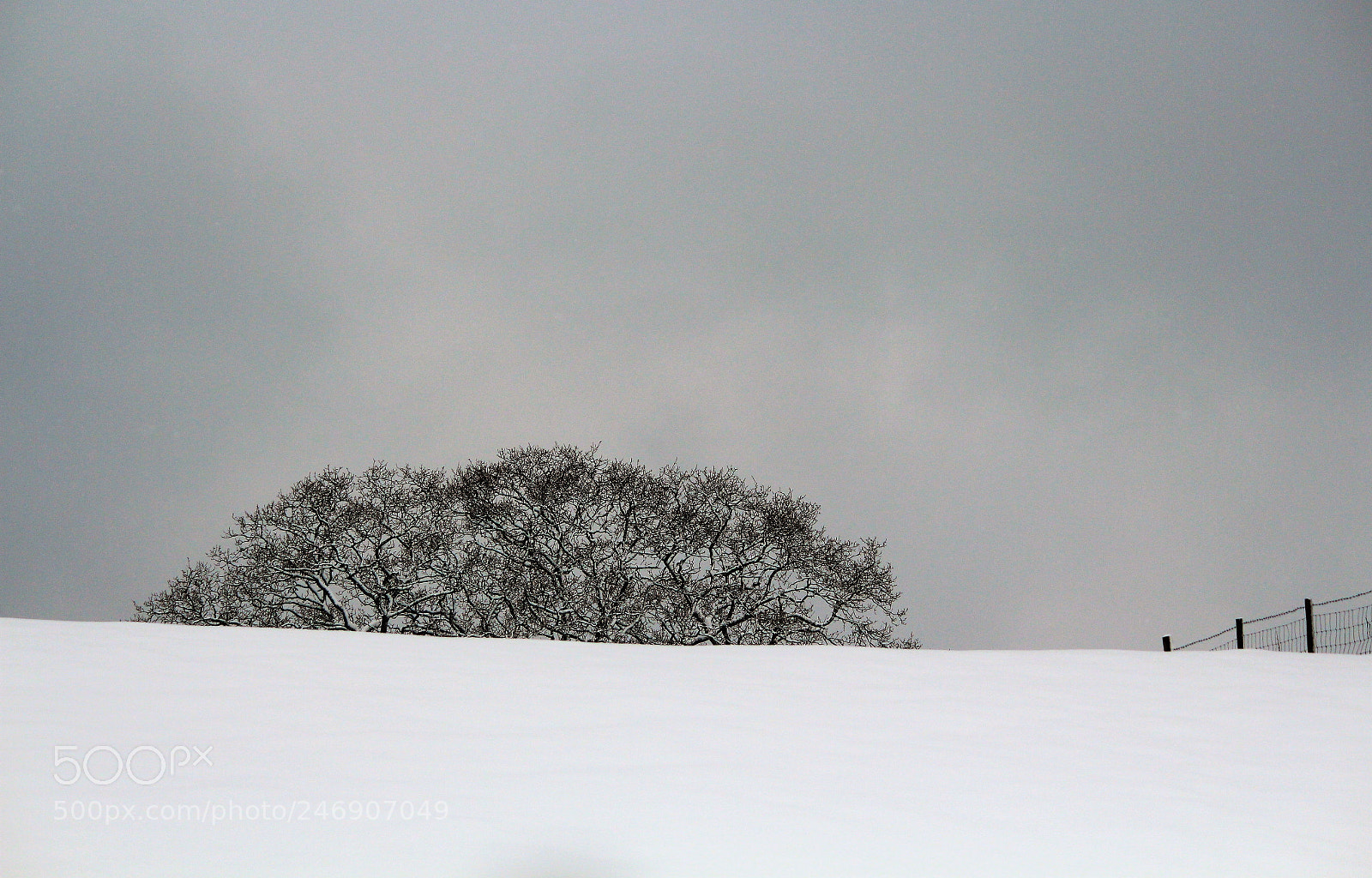 Canon EOS 650D (EOS Rebel T4i / EOS Kiss X6i) sample photo. Snow and fields photography