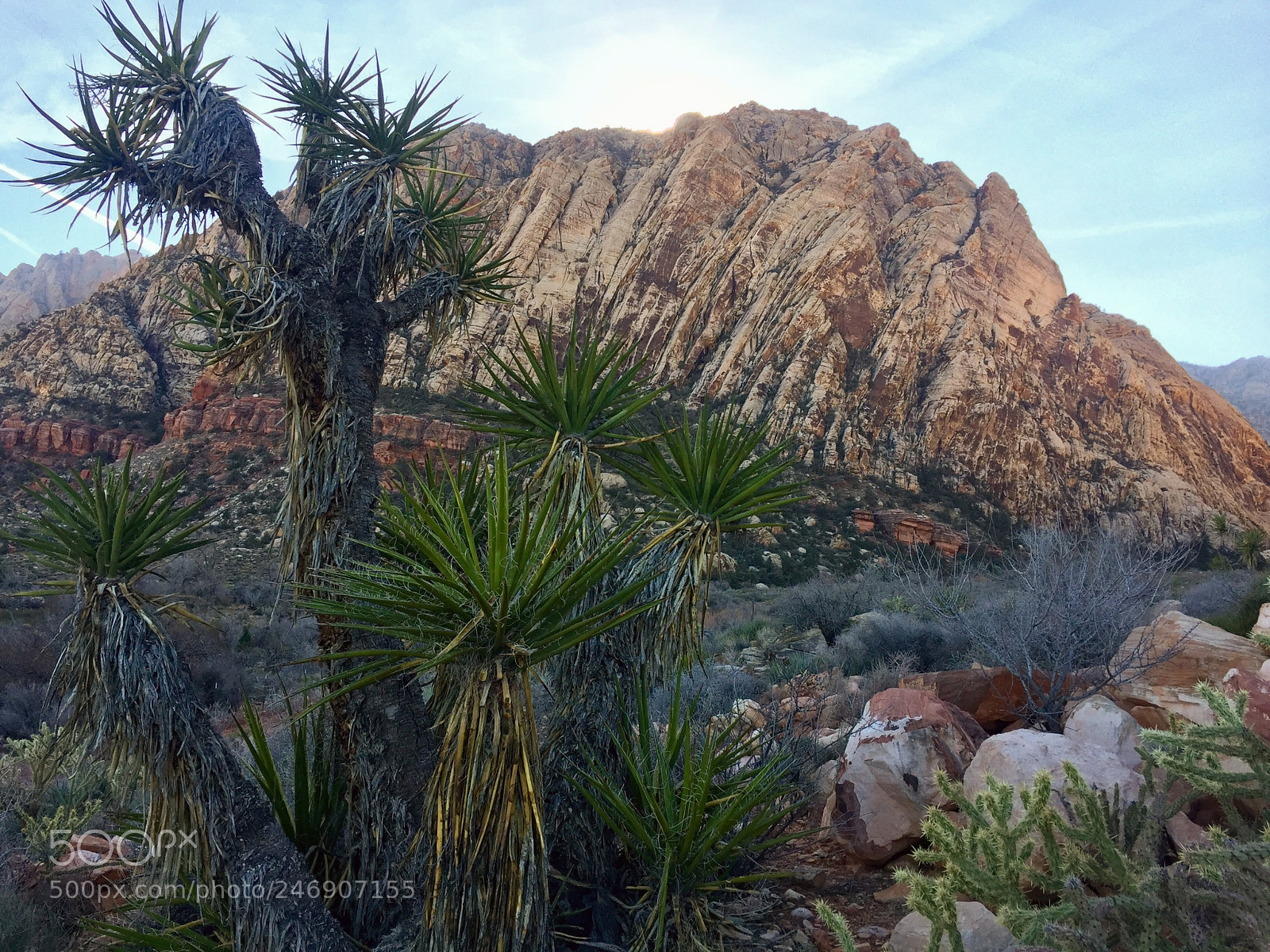 Apple iPhone 6 sample photo. Desert landscape photography