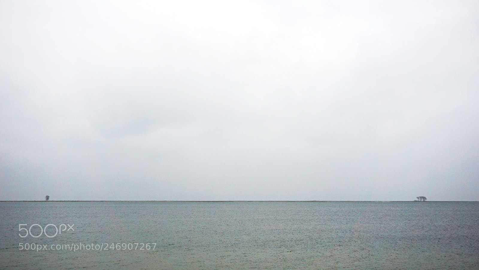 Sony E 16-50mm F3.5-5.6 PZ OSS sample photo. Trees on the water photography