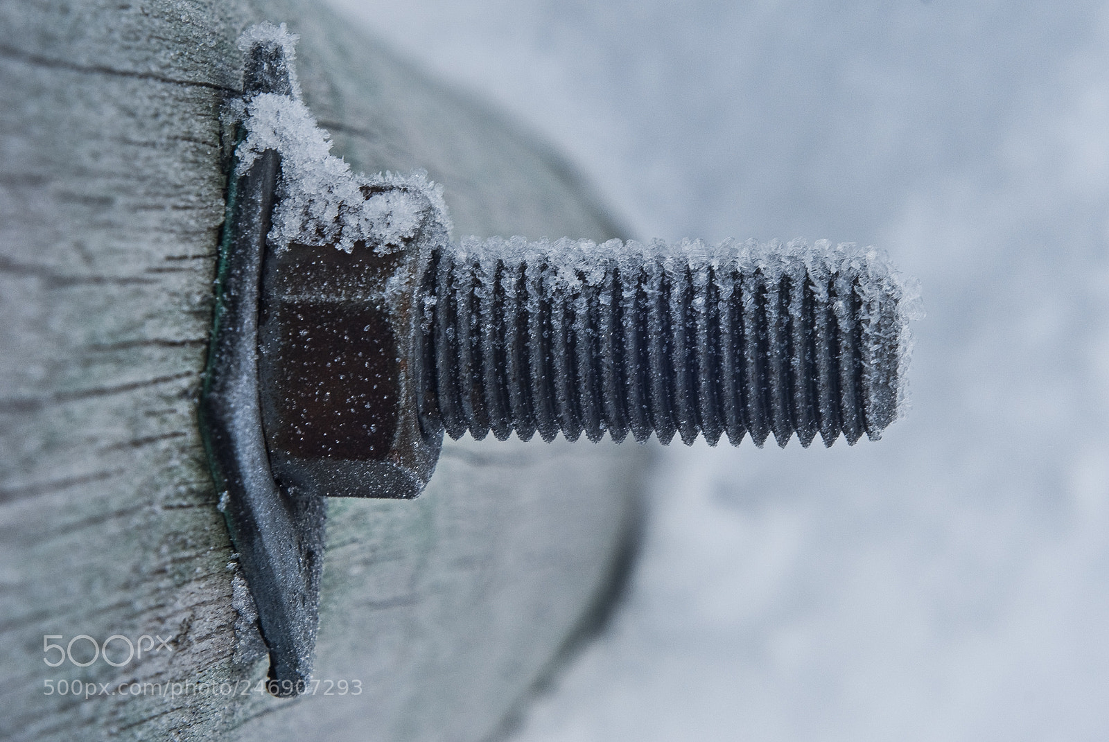 Nikon D40X sample photo. Day 700 photography