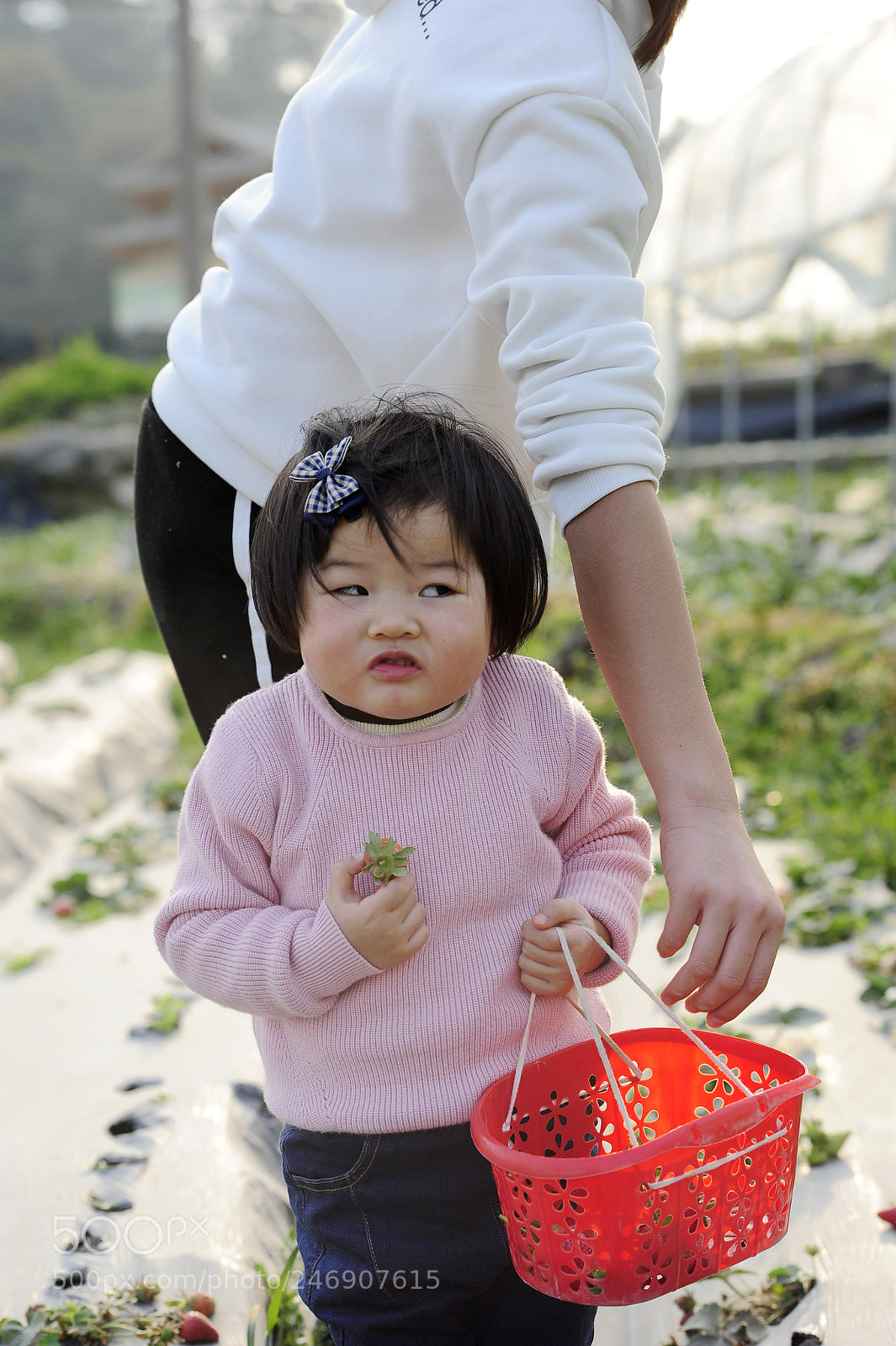 Nikon D700 sample photo. Untitled photography