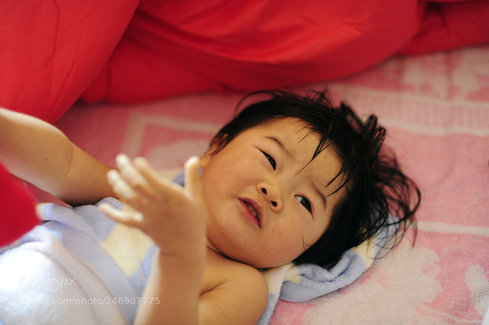 Nikon D700 sample photo. Untitled photography