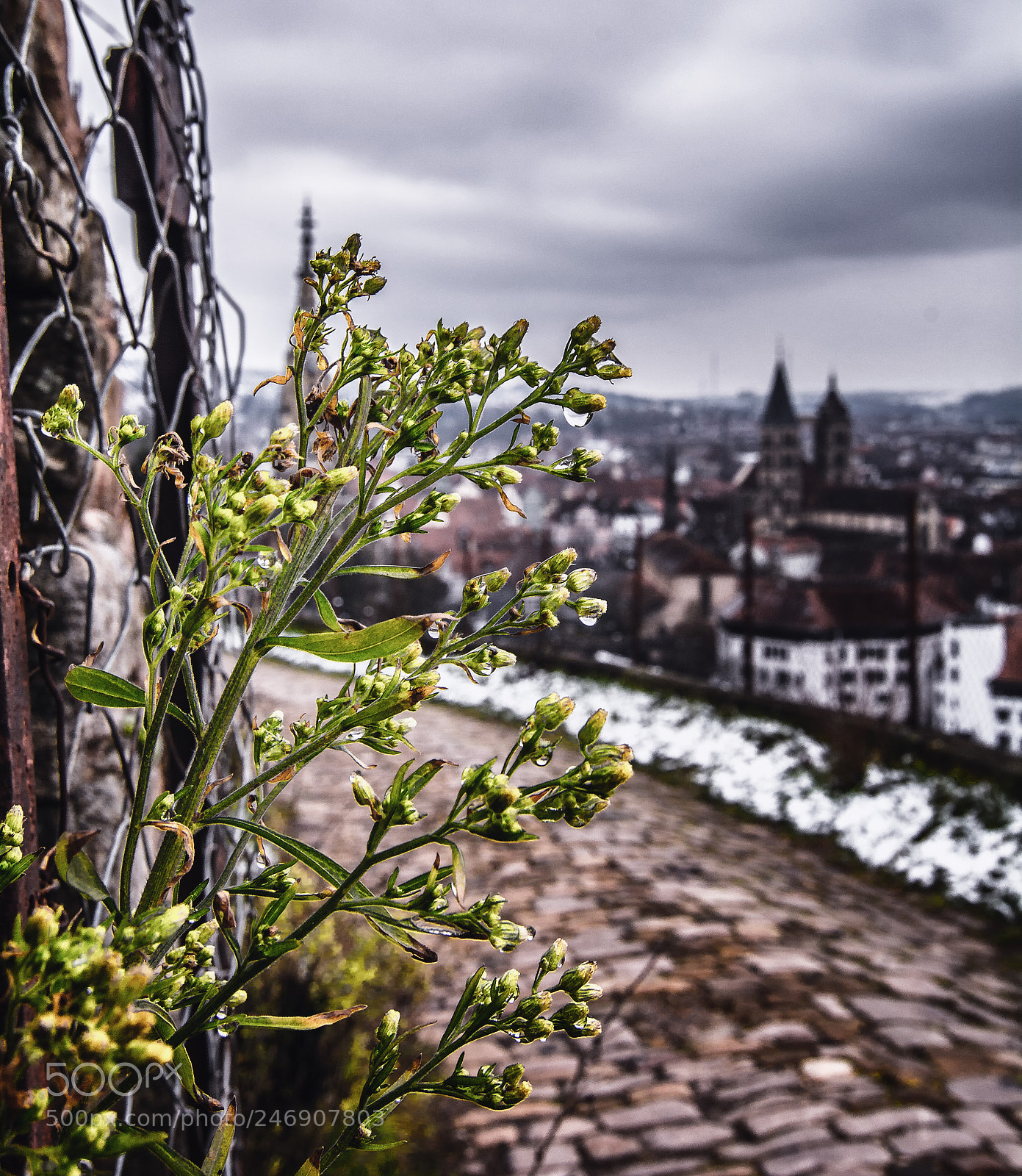 Nikon D7100 sample photo. Spring vs. winter photography