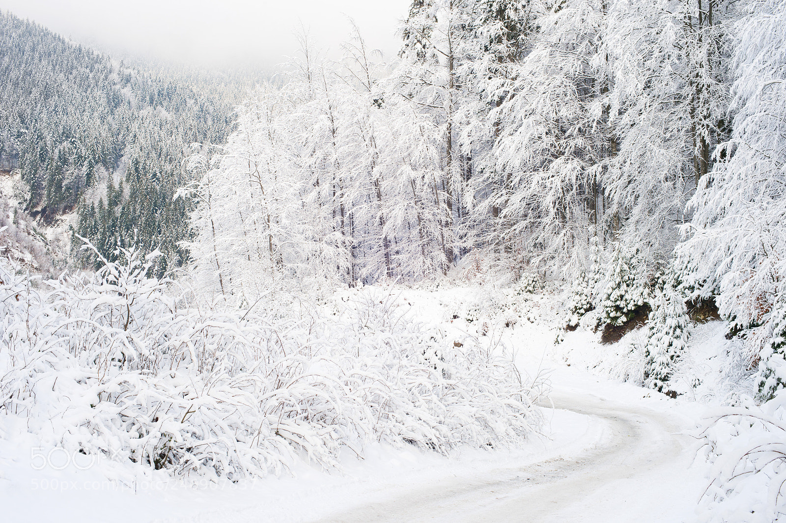 Nikon Df sample photo. Mountains winter road covered photography