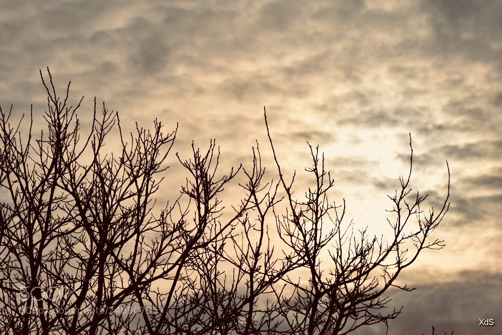 Nikon D3400 sample photo. Untitled photography