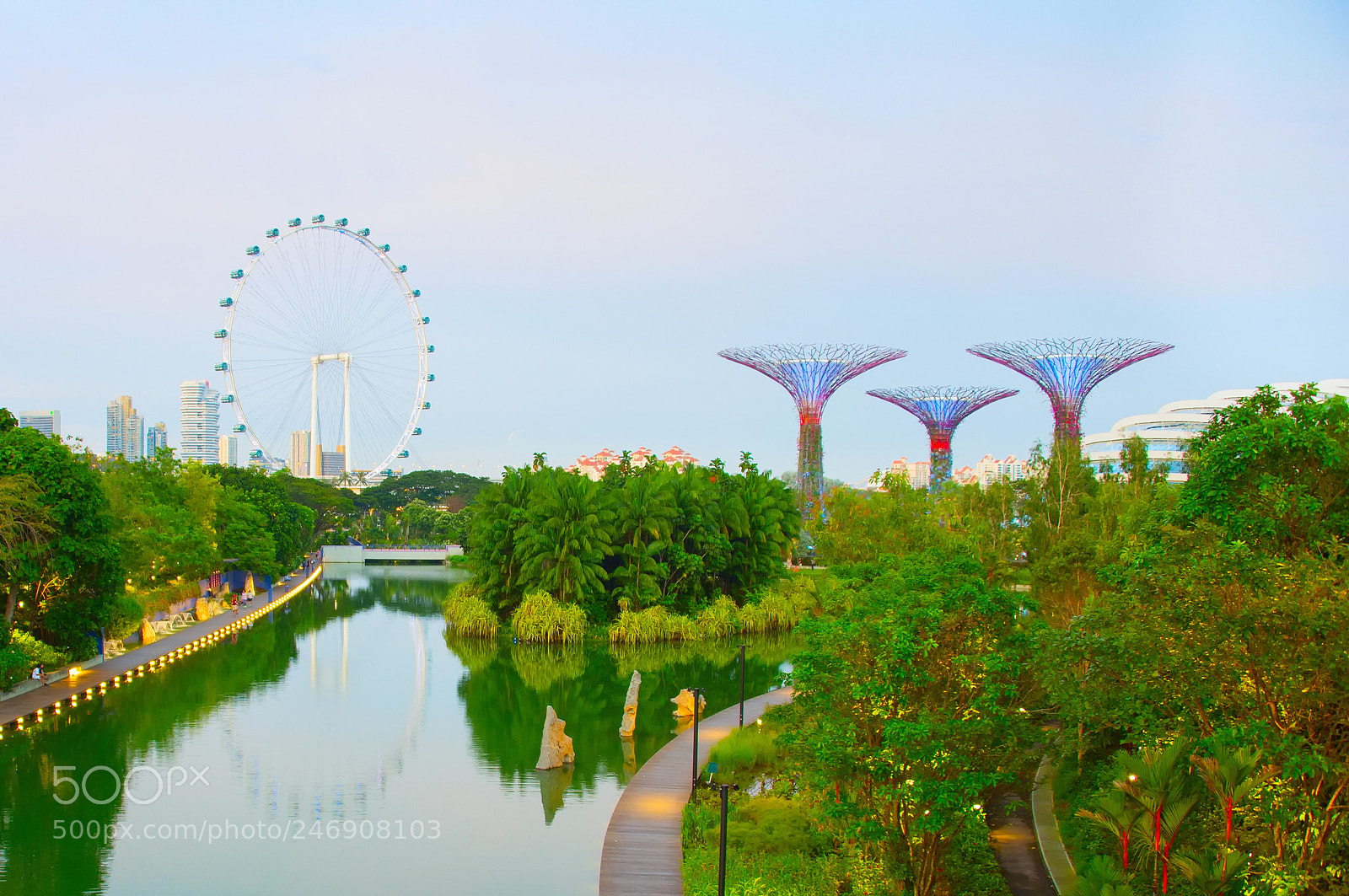 Nikon Df sample photo. Singapore gardens by the photography