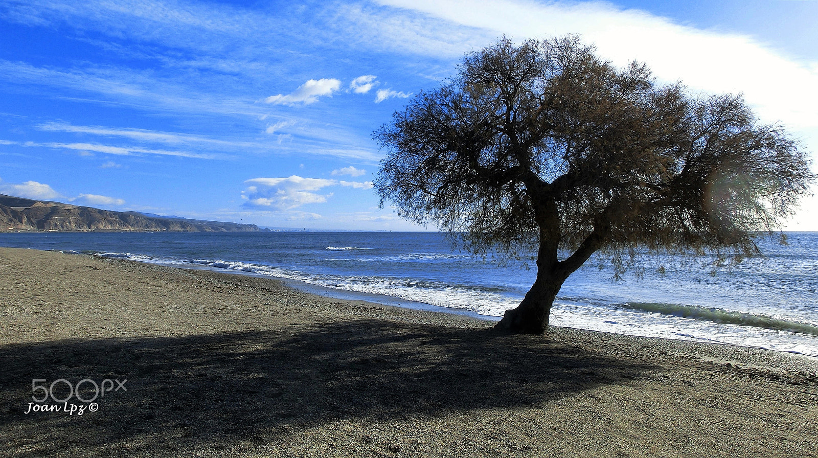 CASIO EX-ZR100 sample photo. Sol y sombra photography
