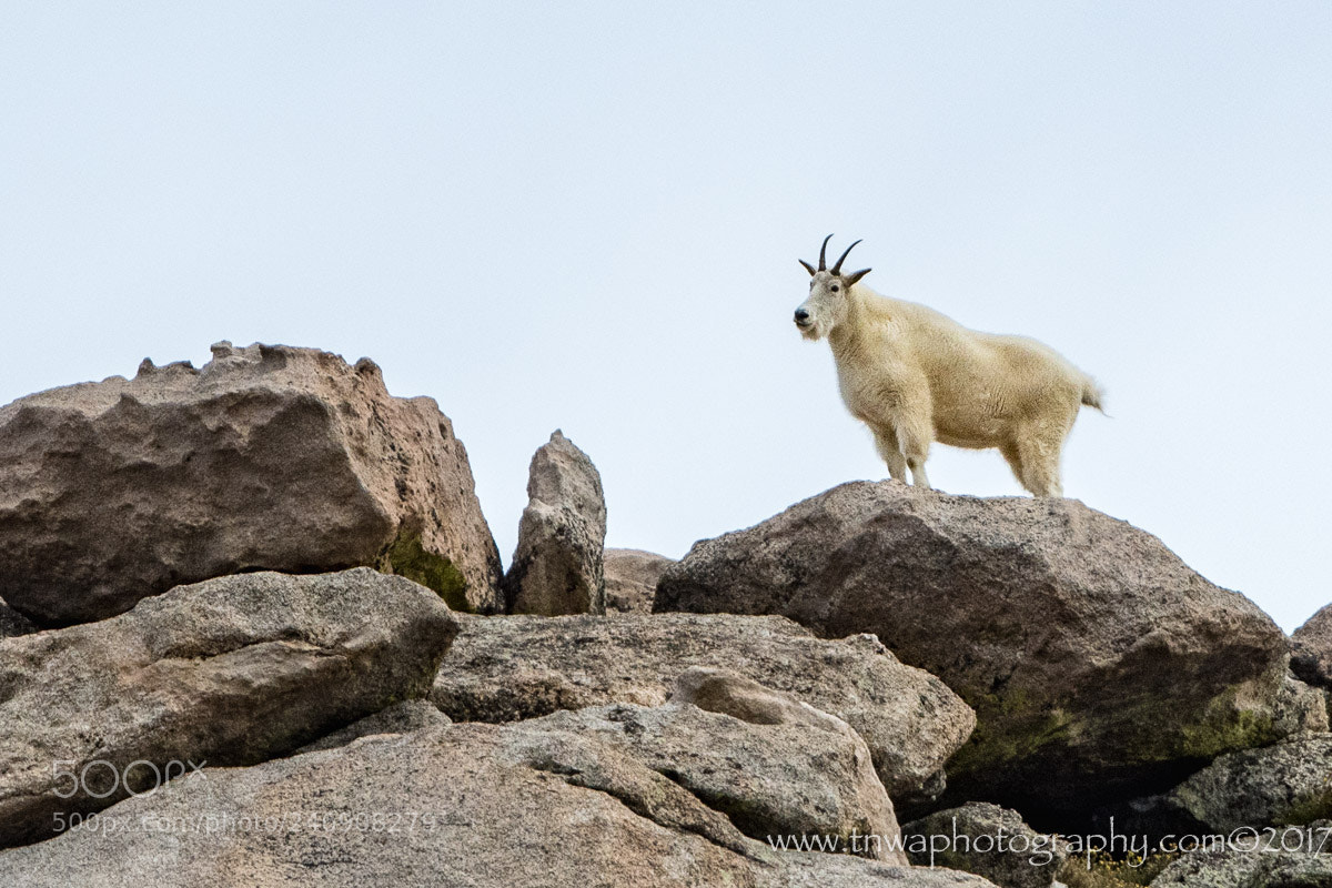 Nikon D500 sample photo. Top of the mountain photography