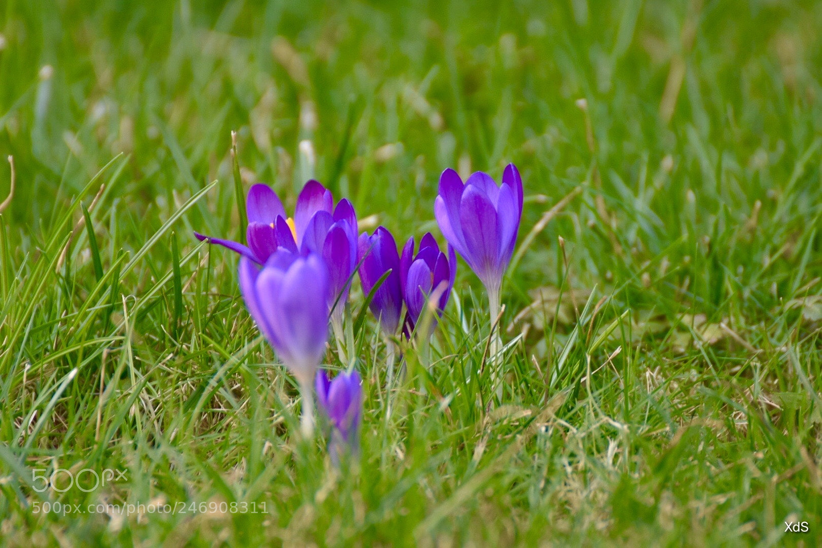 Nikon D3400 sample photo. Untitled photography