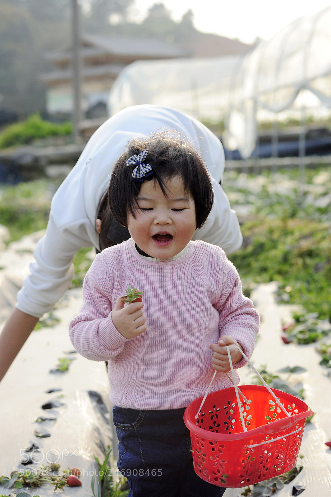 Nikon D700 sample photo. Untitled photography