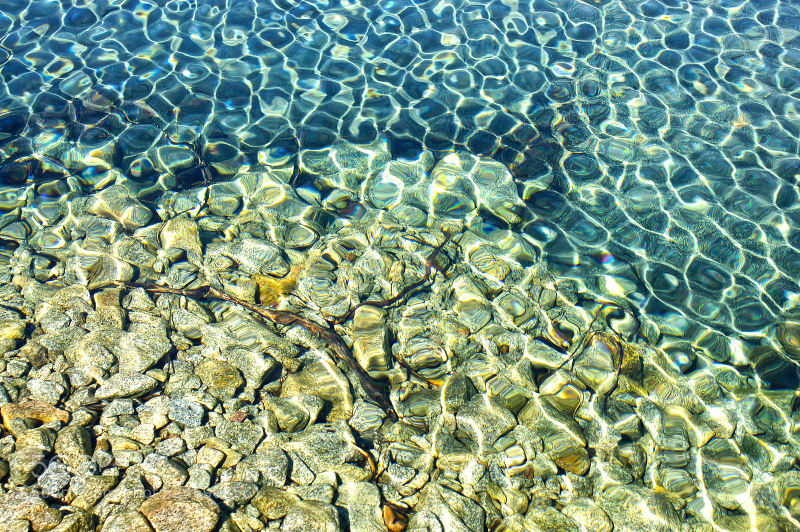 Sony Alpha DSLR-A700 sample photo. Fresh water beauty photography