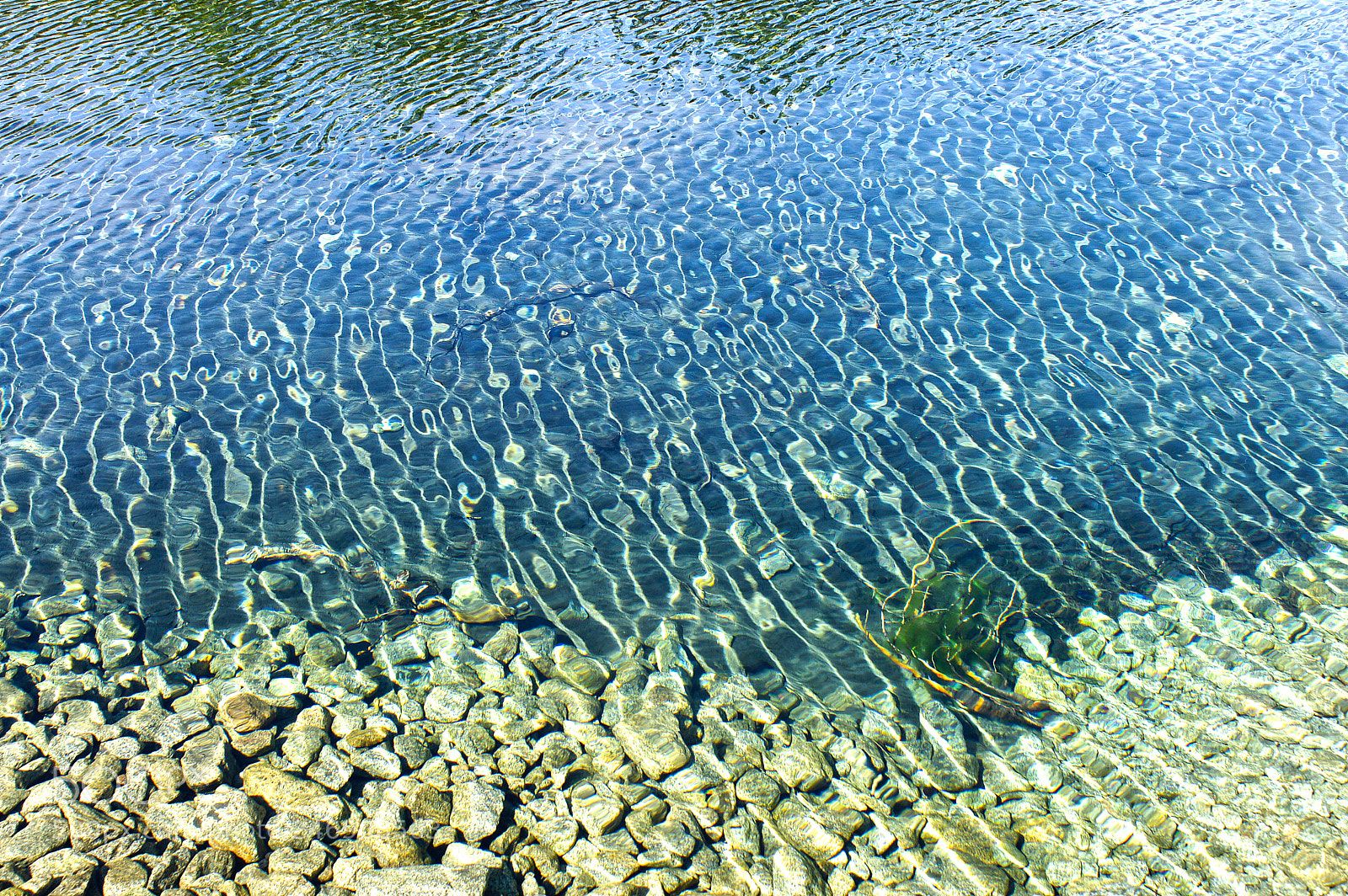 Sony Alpha DSLR-A700 sample photo. Fresh water beauty 5 photography